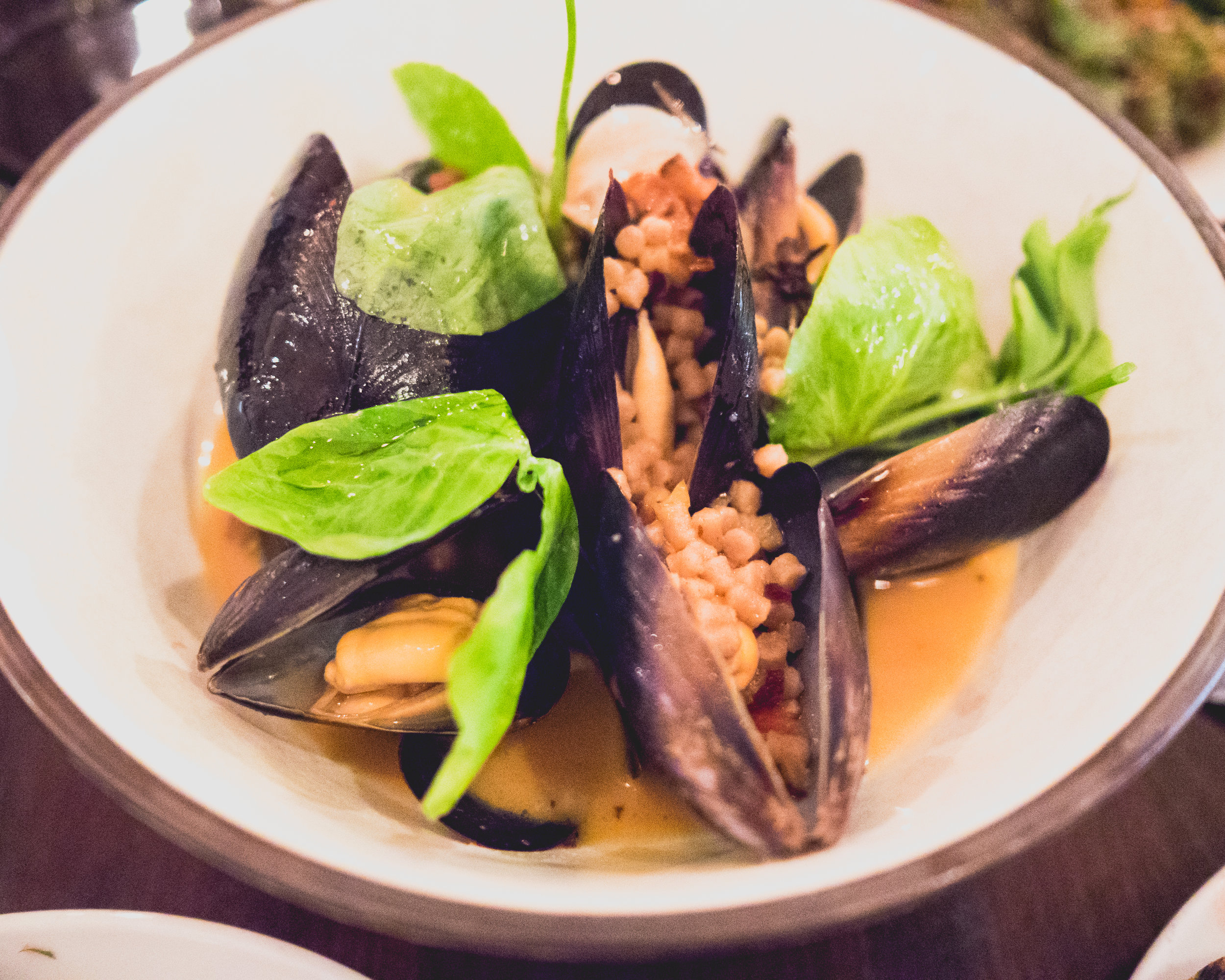 hope ranch mussels with guanciale, grandine, preserved meyer lemon.