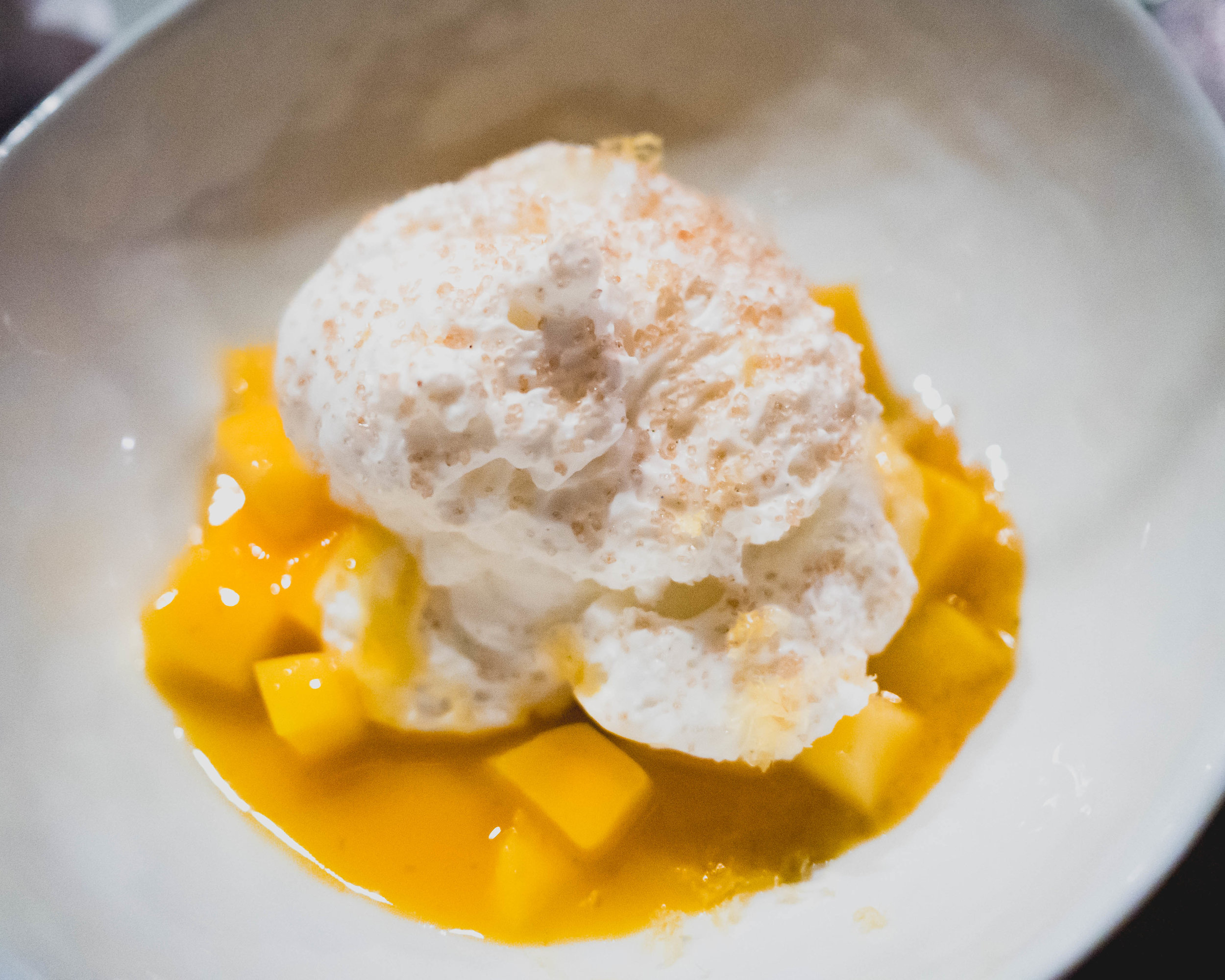 mango panna cotta: vanilla panna cotta schiuma, mango compote, lemon zest, turbinado sugar.