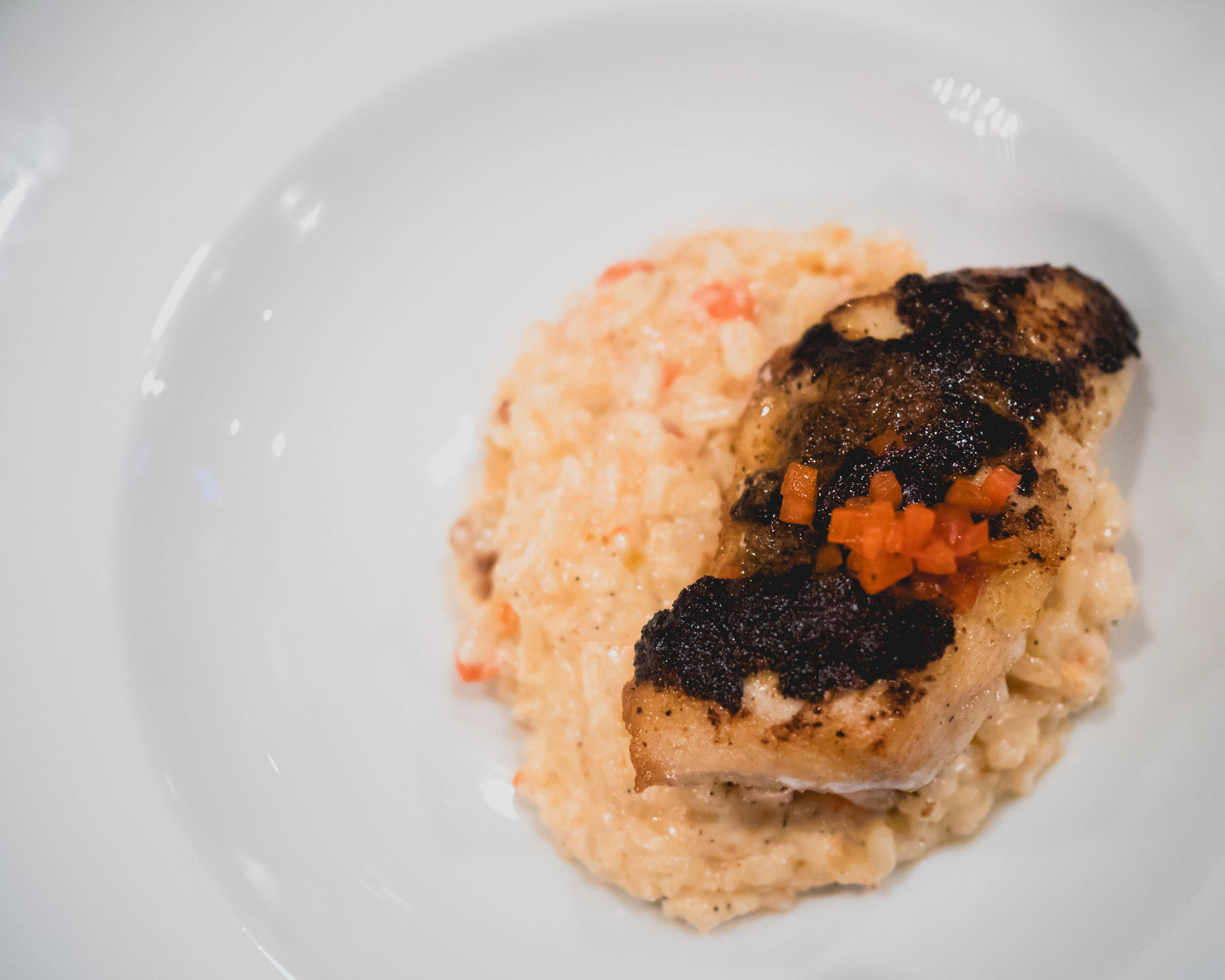 red grouper over parmesan, roasted red pepper and alligator risotto.