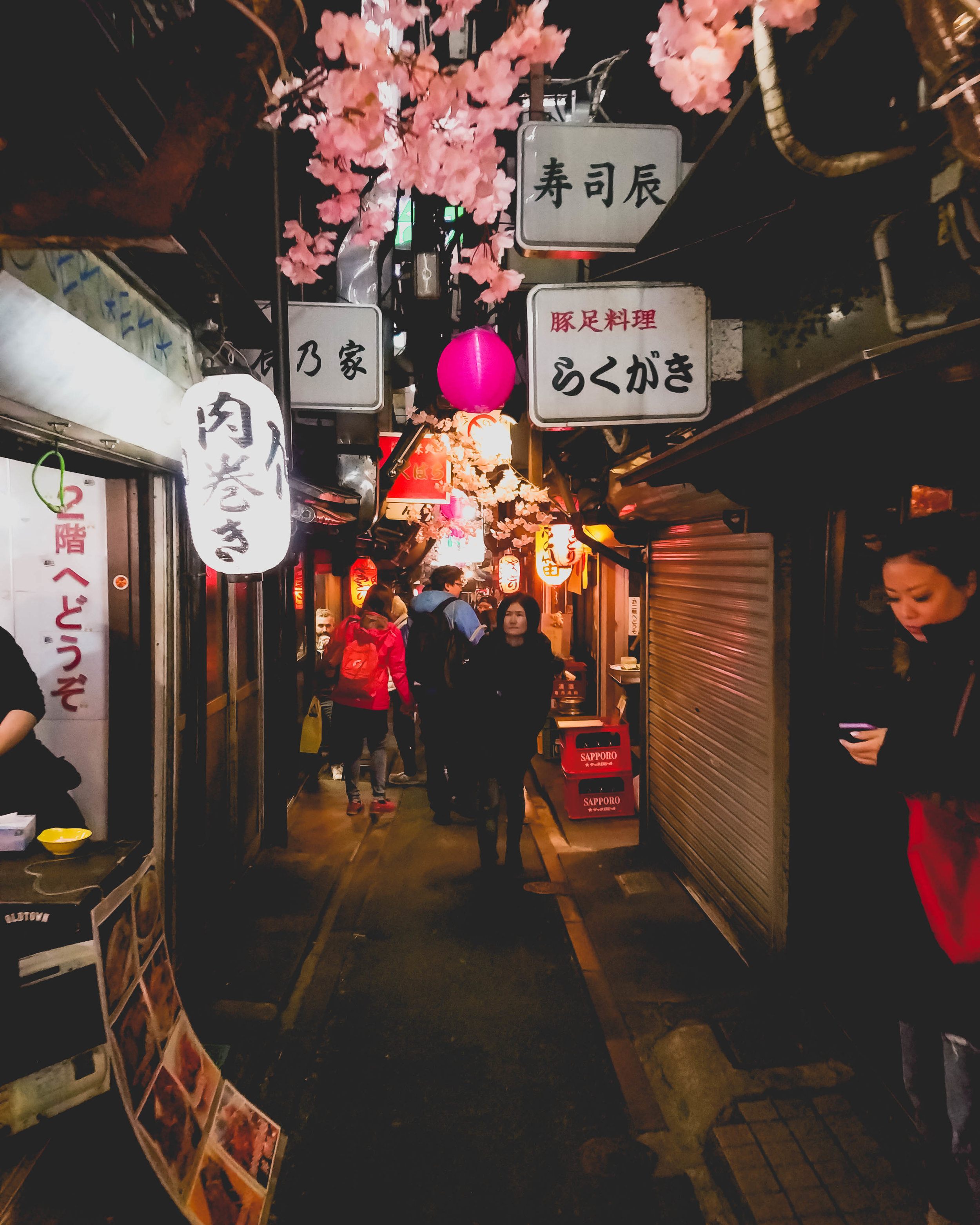 yokocho (food alley) under the train tracks at shinjuku.