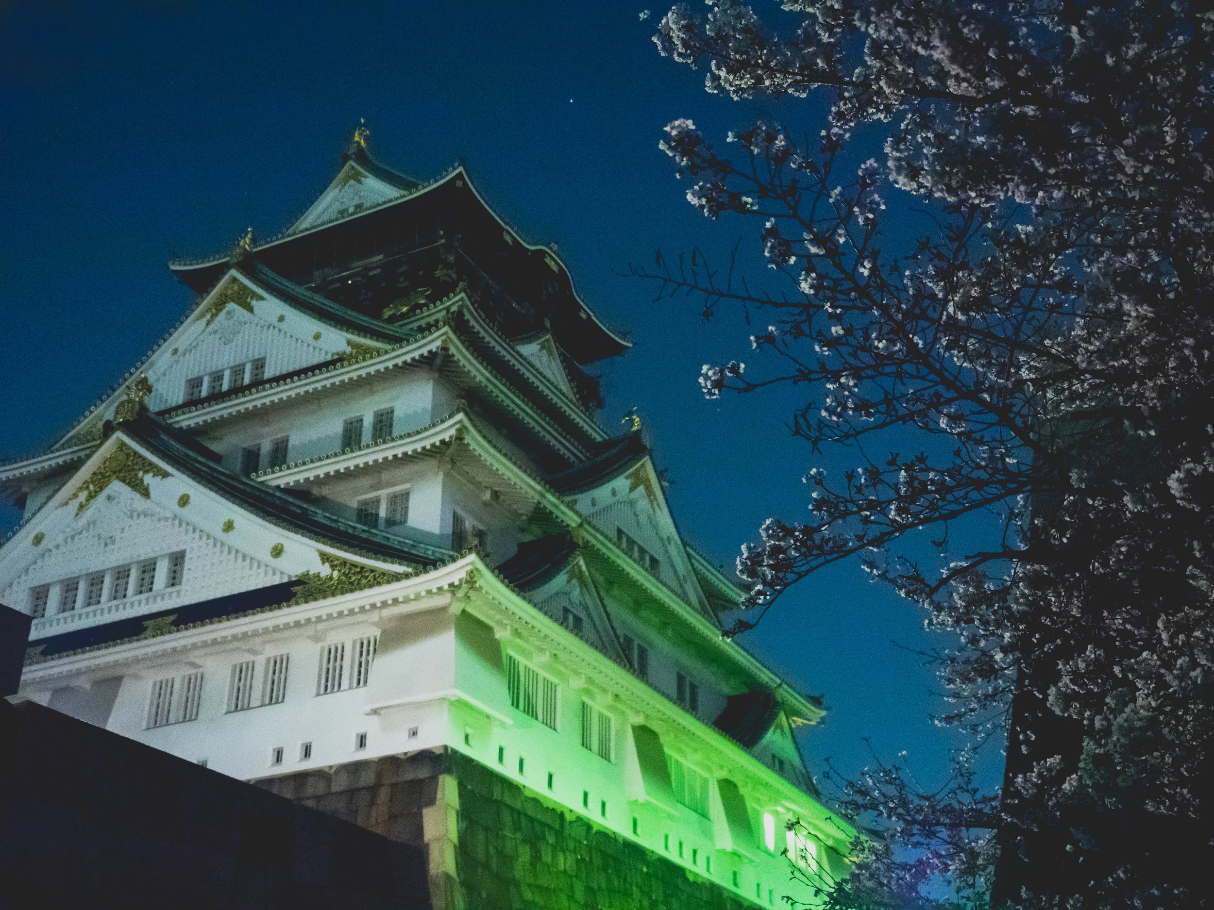 hakone-osaka-snaps-141.jpg