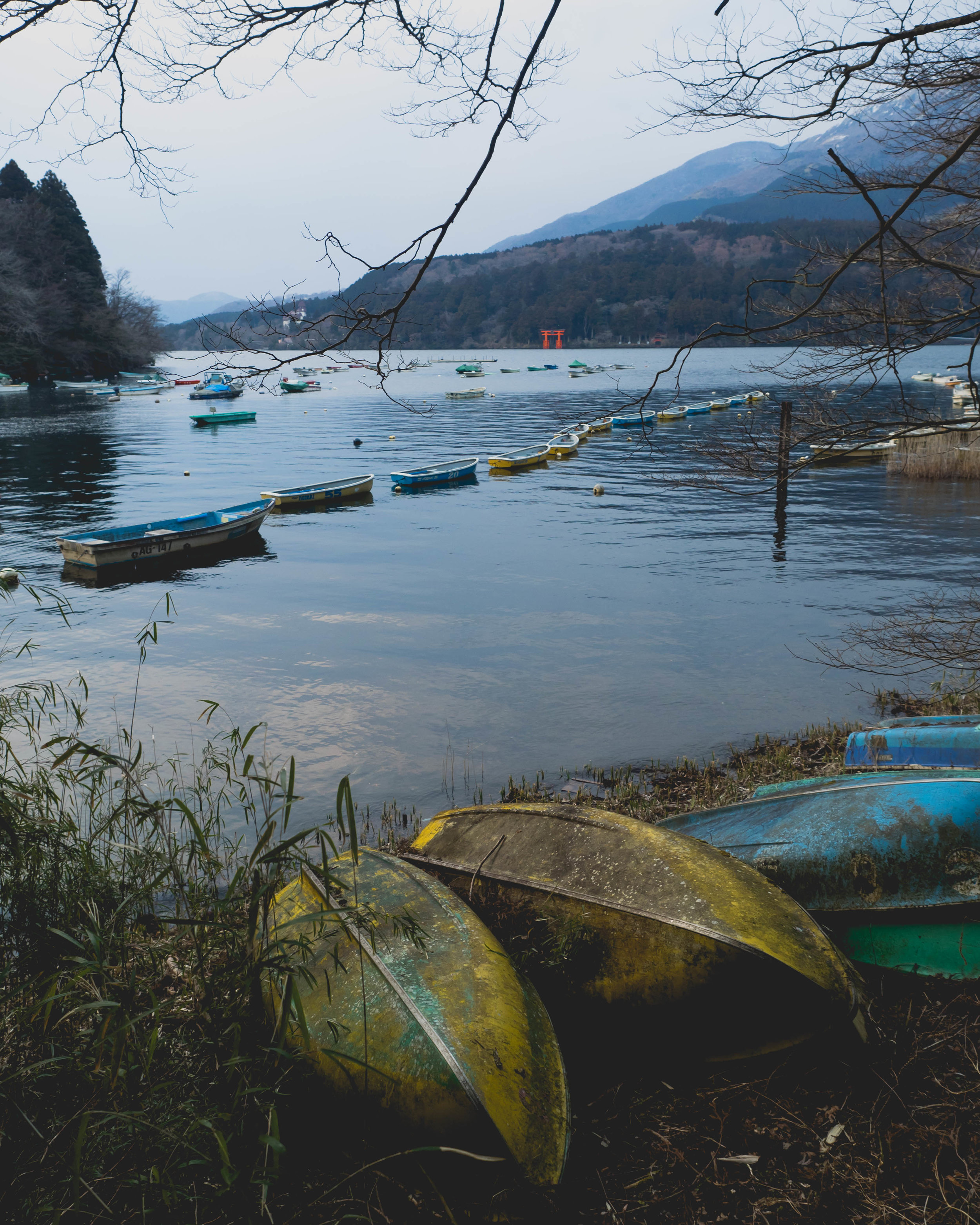 strolling along lake ashi.
