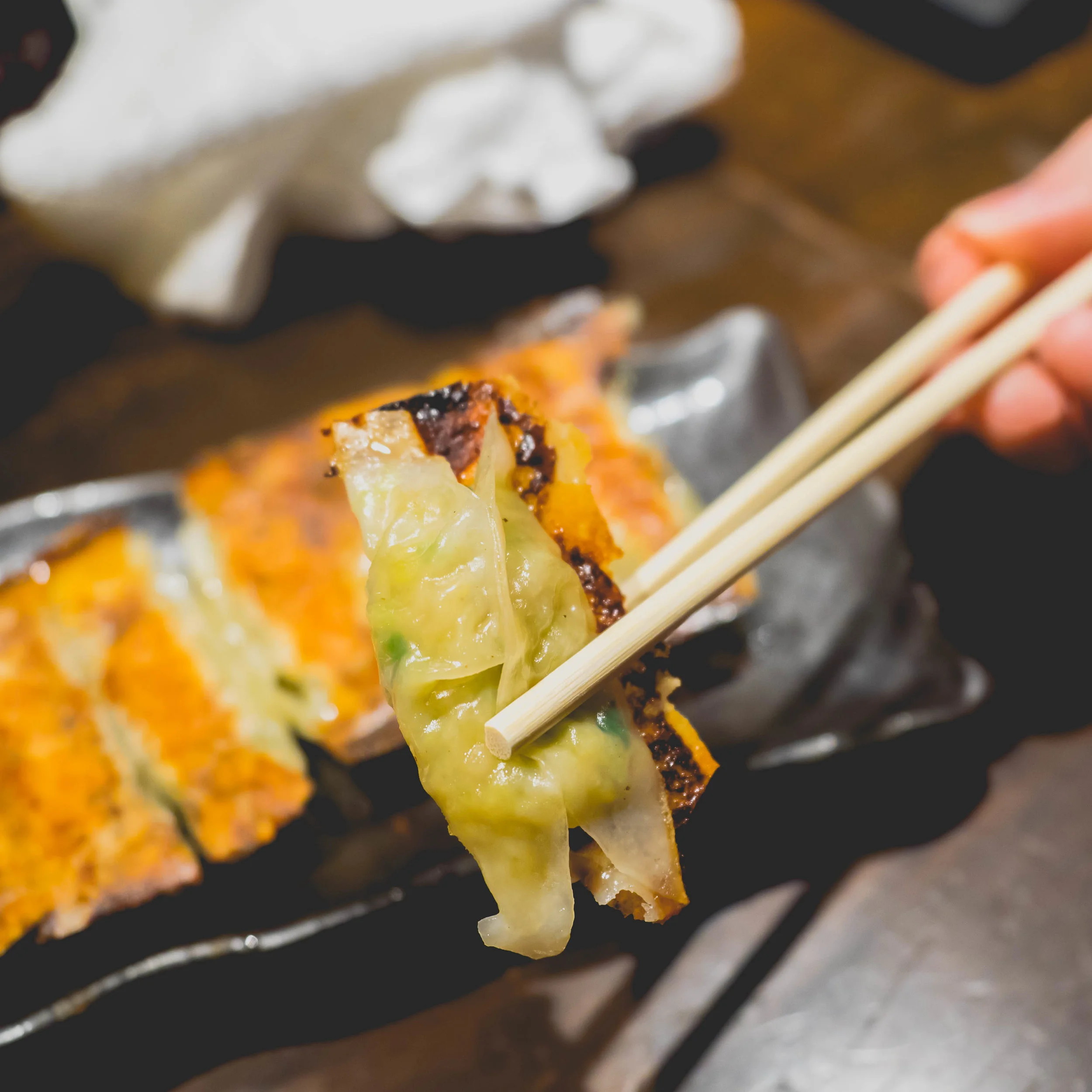 chao chao pork gyoza.