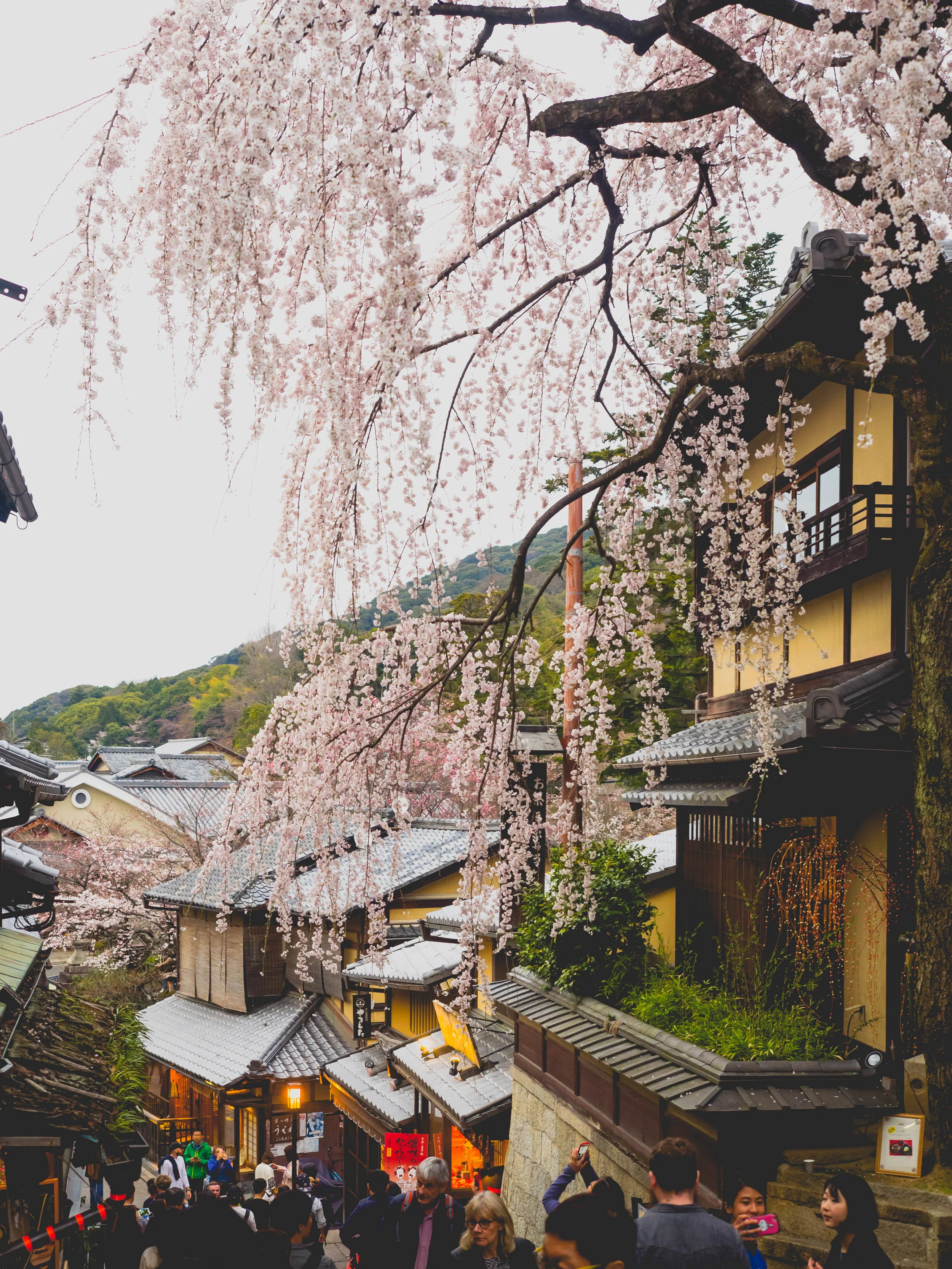 sannen-zaka.
