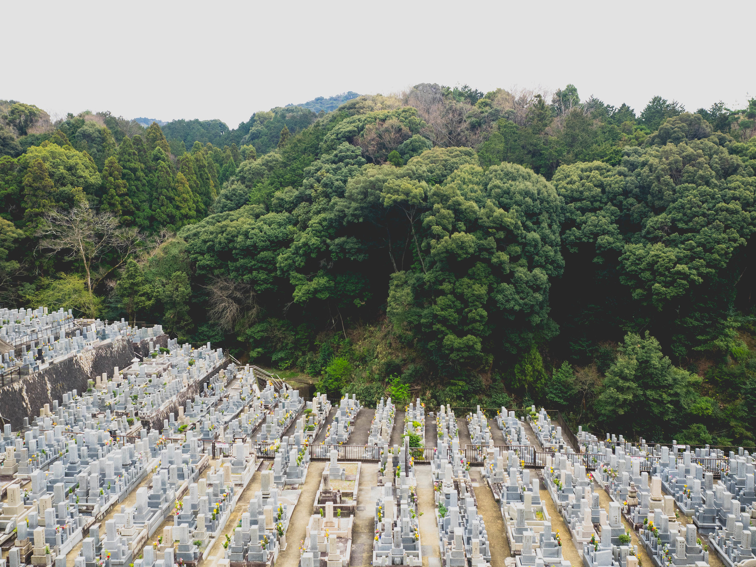 sprawling cemetary.