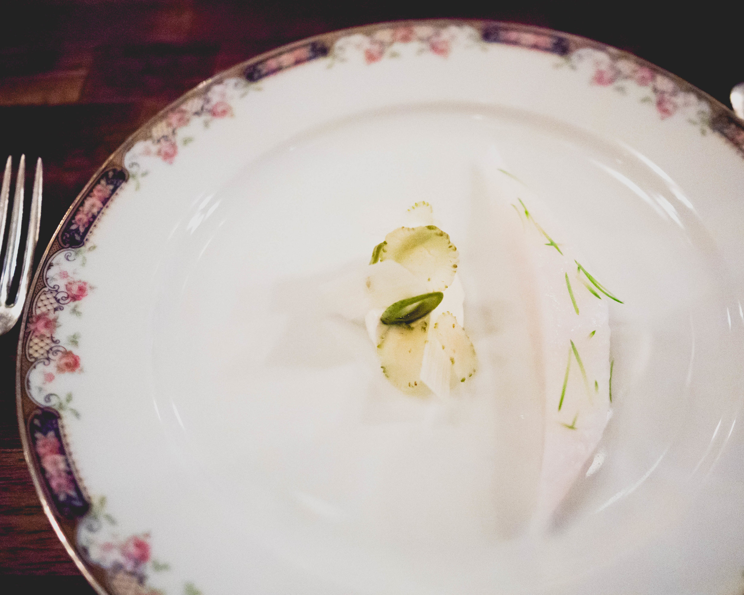 john dory, white asparagus, yogurt, blue spruce.