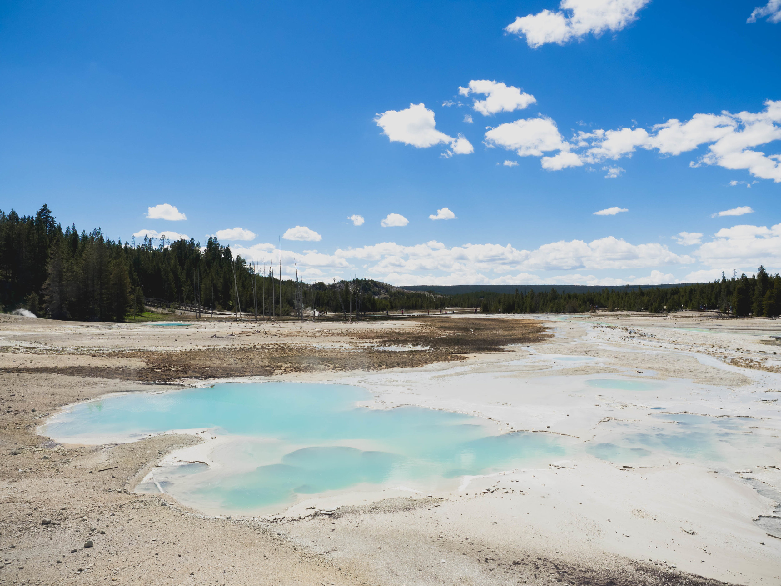yellowstone's geothermal features.