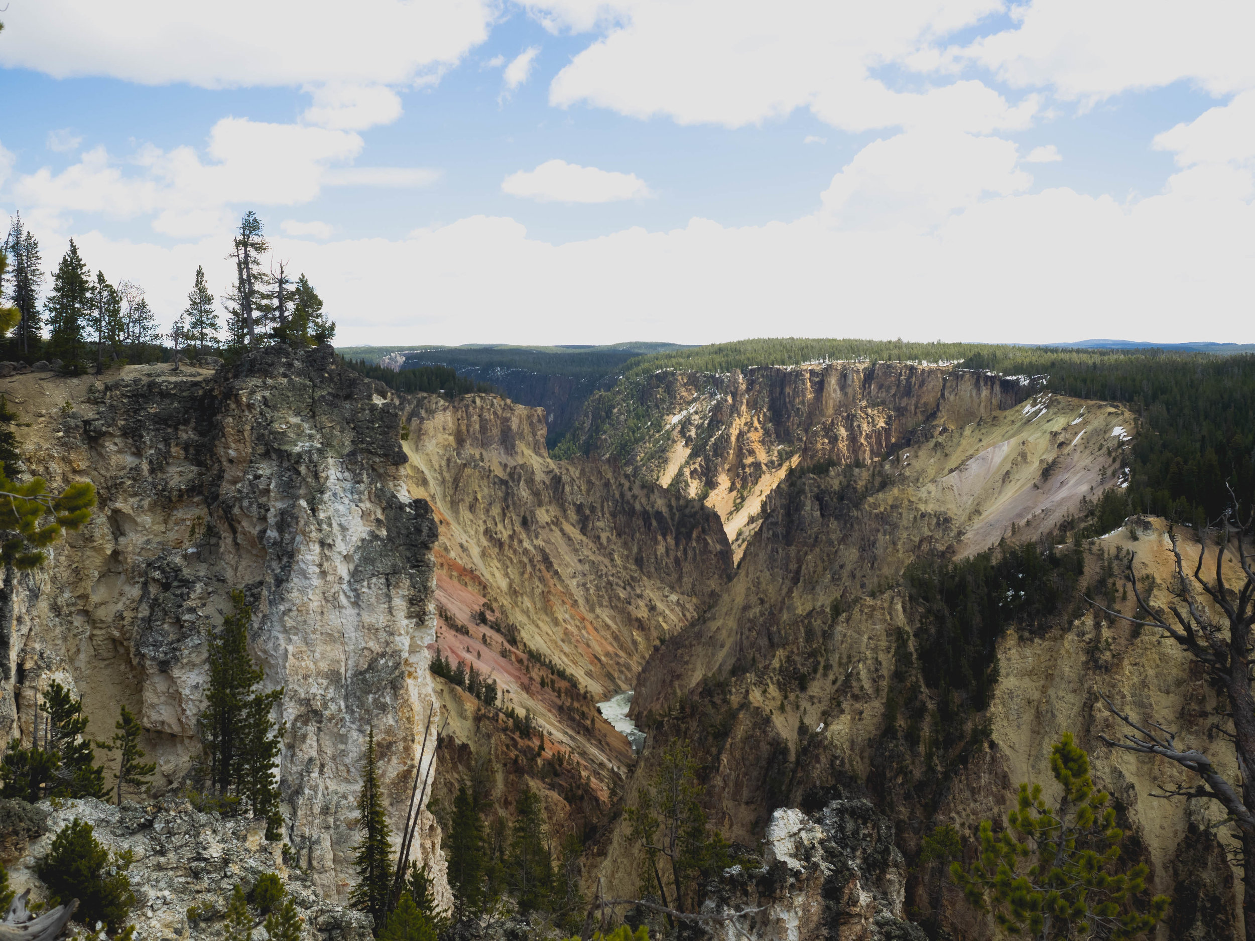 grand canyon of the yellowstone.