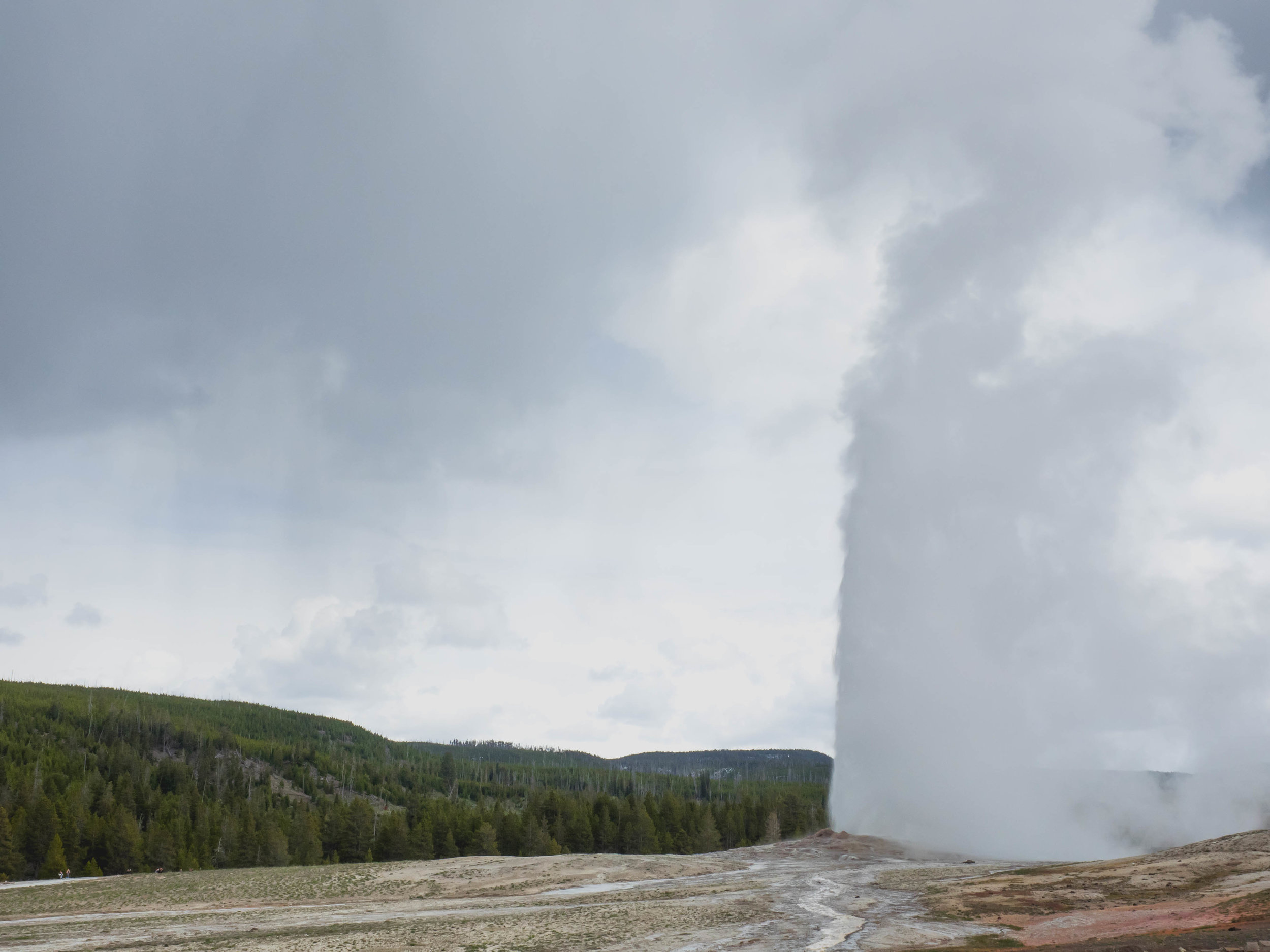 old faithful geyser.
