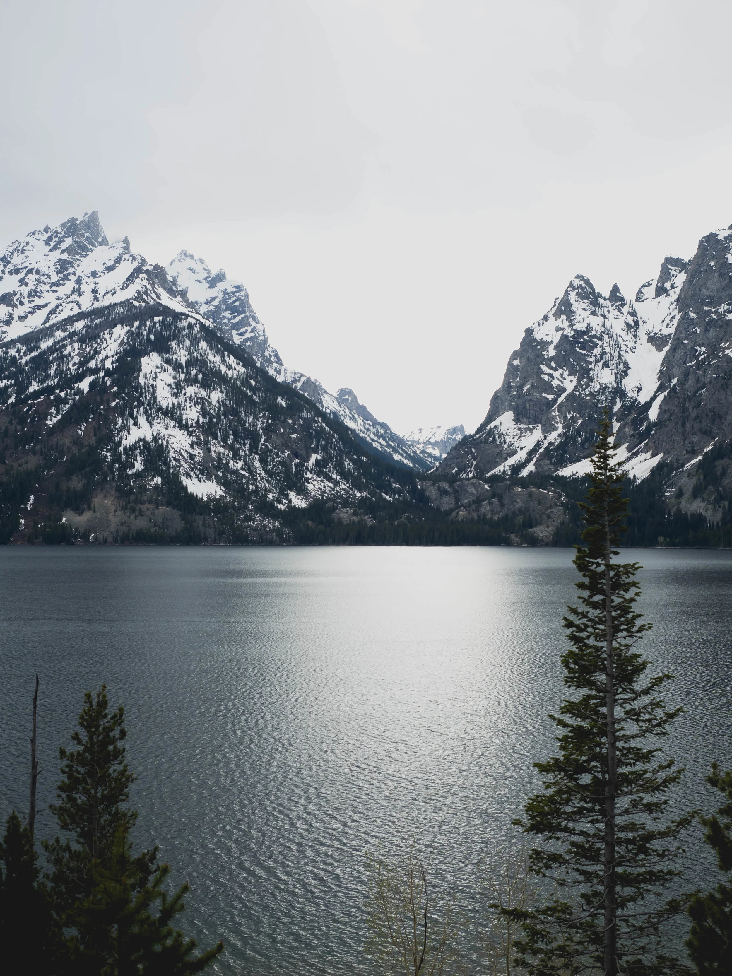 jenny lake.