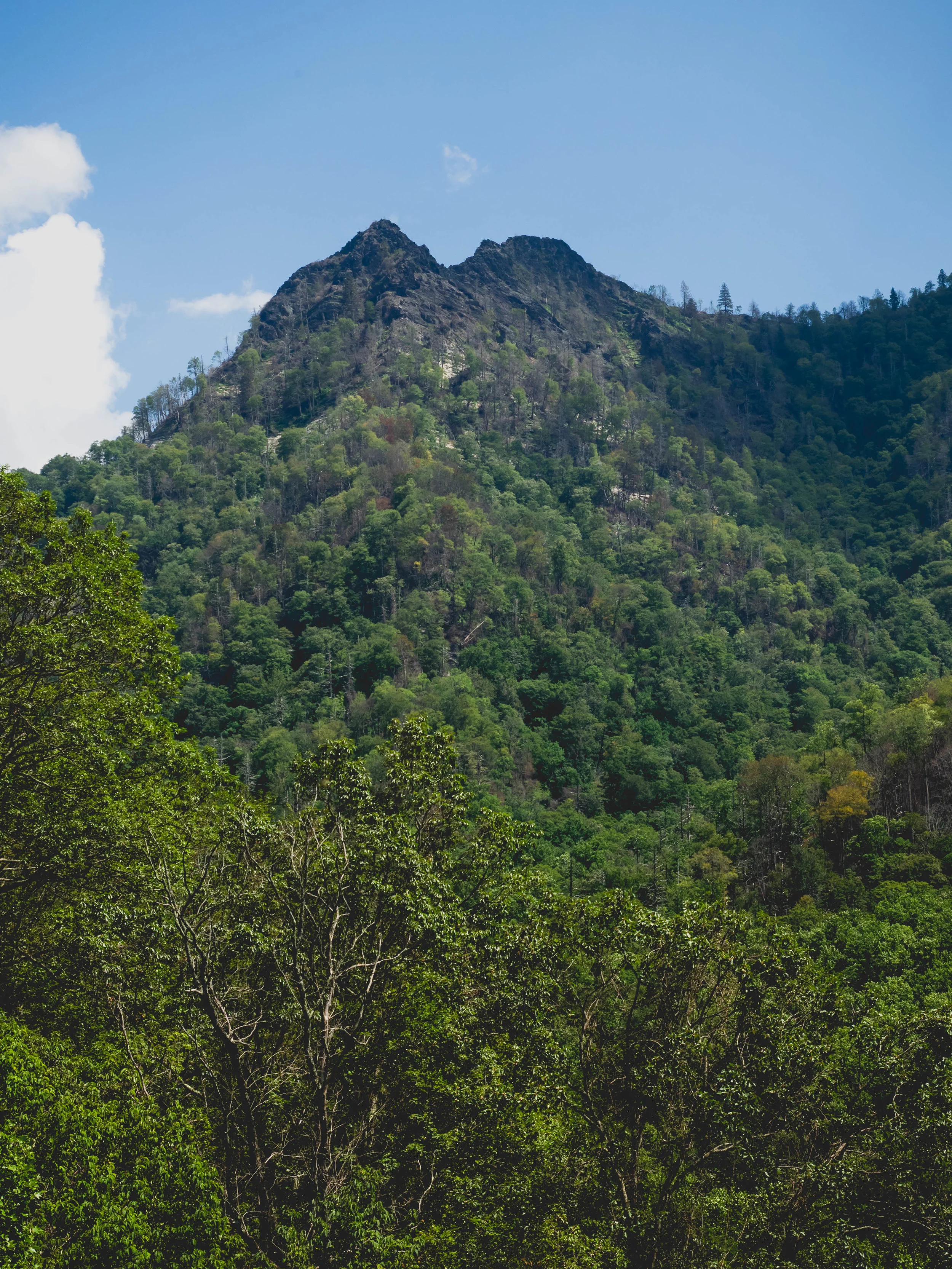 chimney tops.