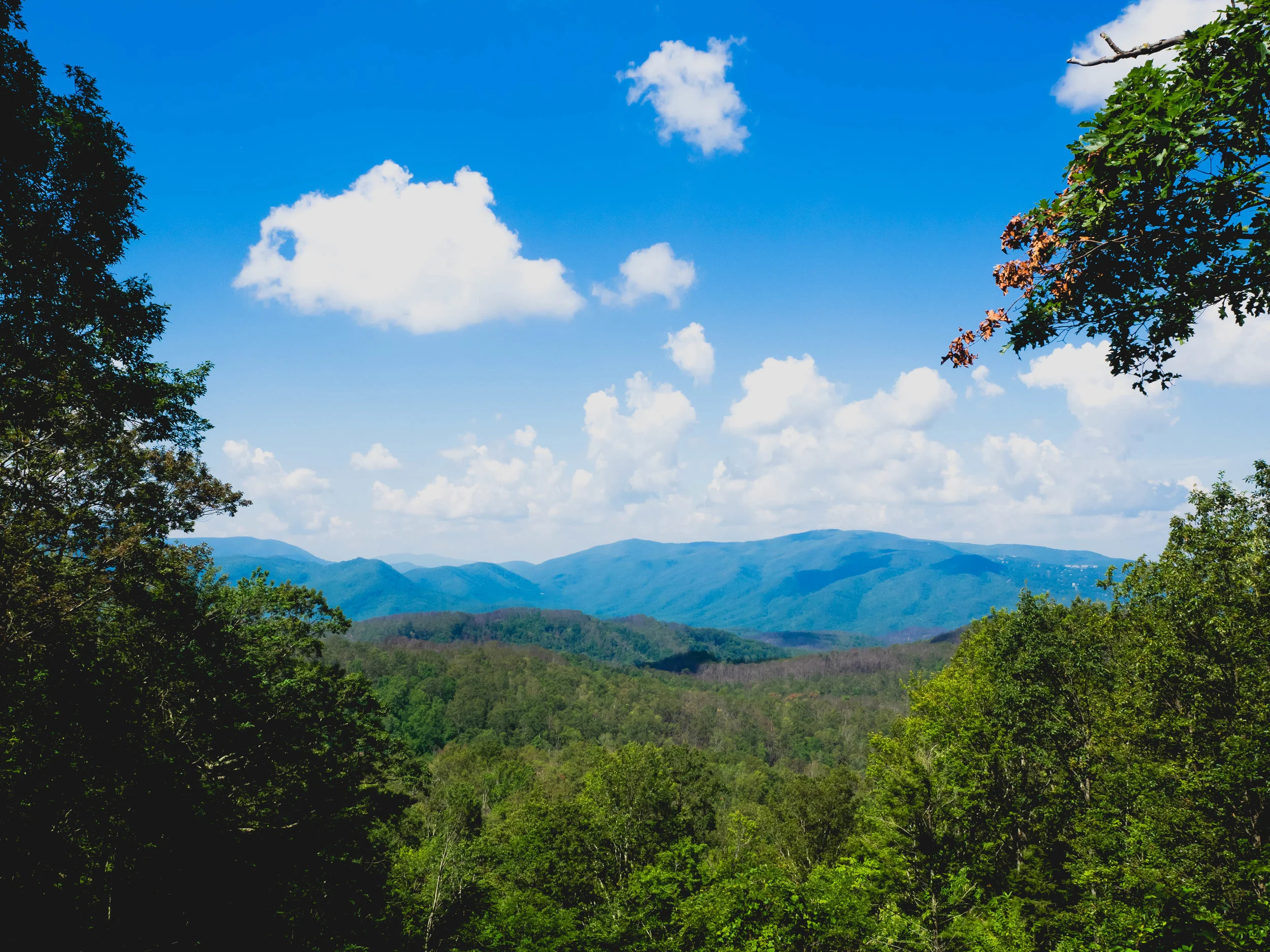 eclipse-great-smokey-mountains-110.jpg