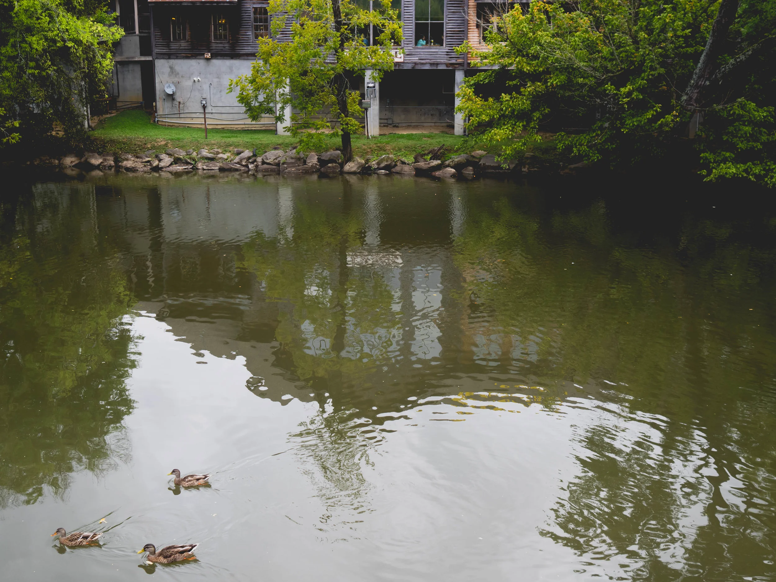 outside-greatsmokymtns-113.jpg