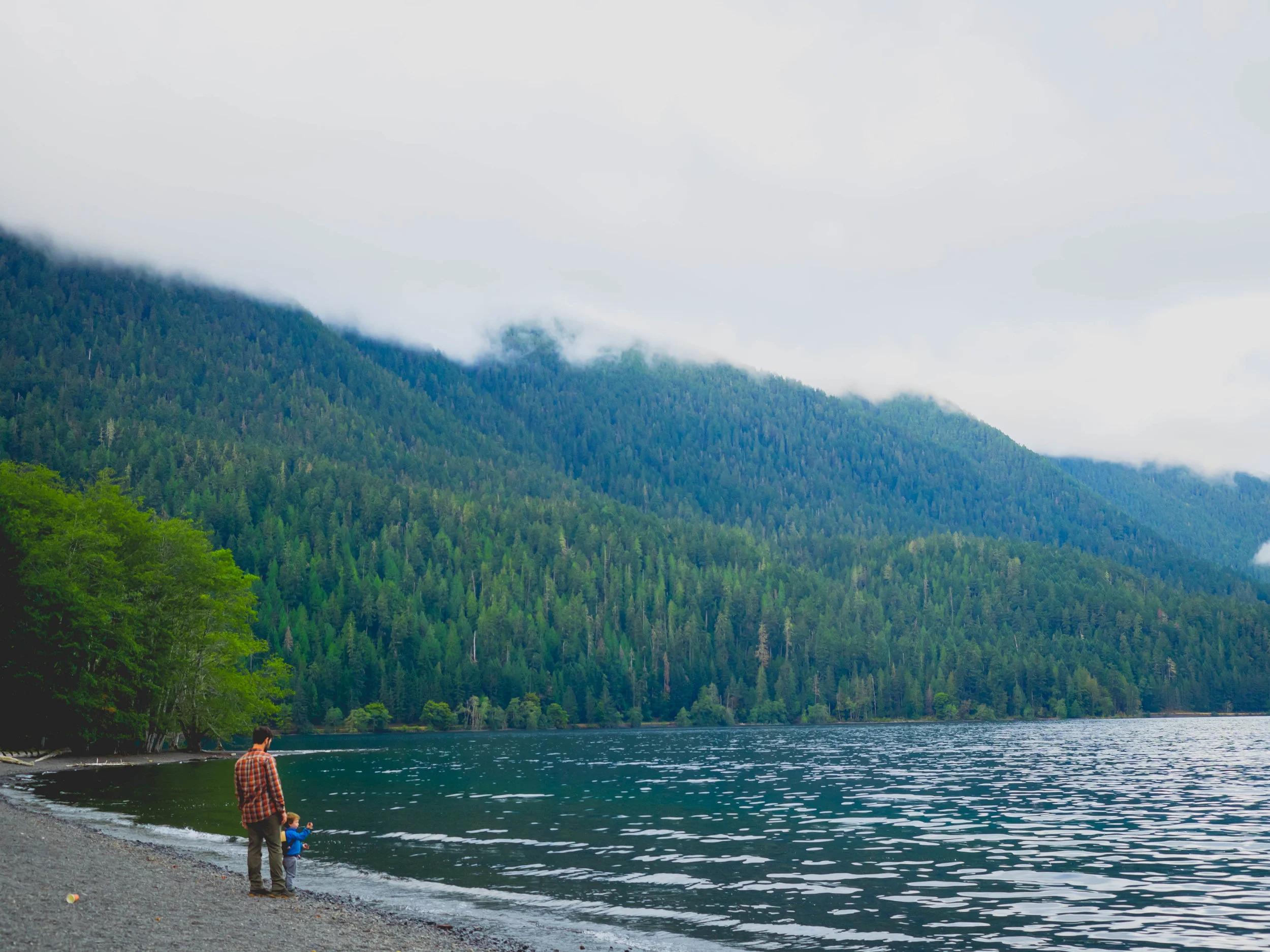 olympic-national-park-139.jpg
