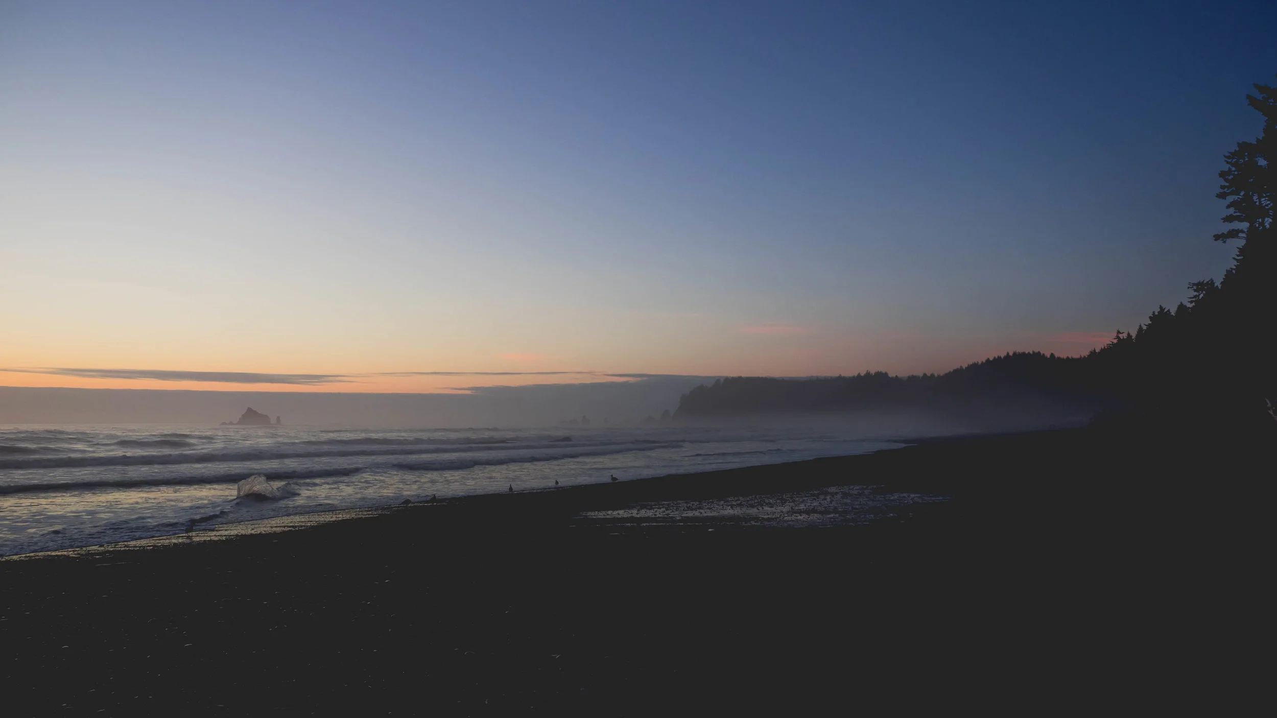 olympic-national-park-120.jpg