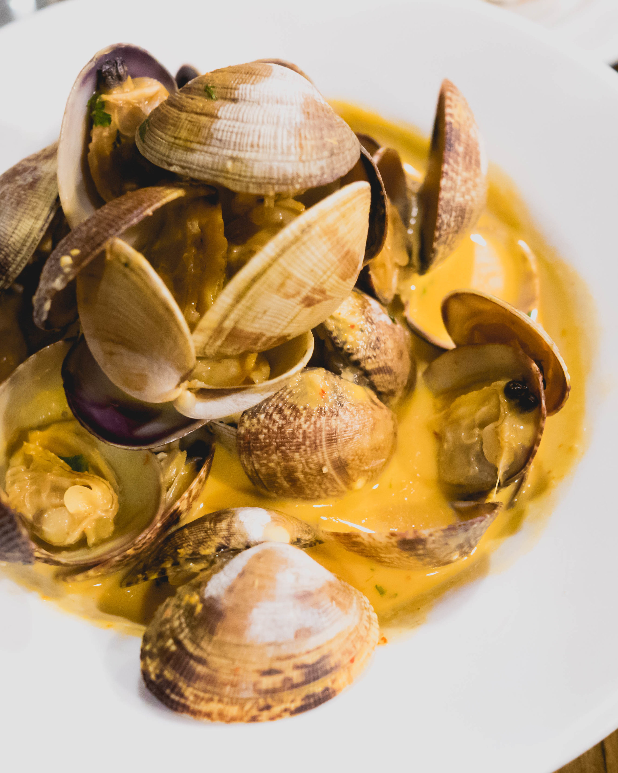 curry clams : manila clams, curry coconut broth, basil, cilantro, grilled garlic bread (not pictured).