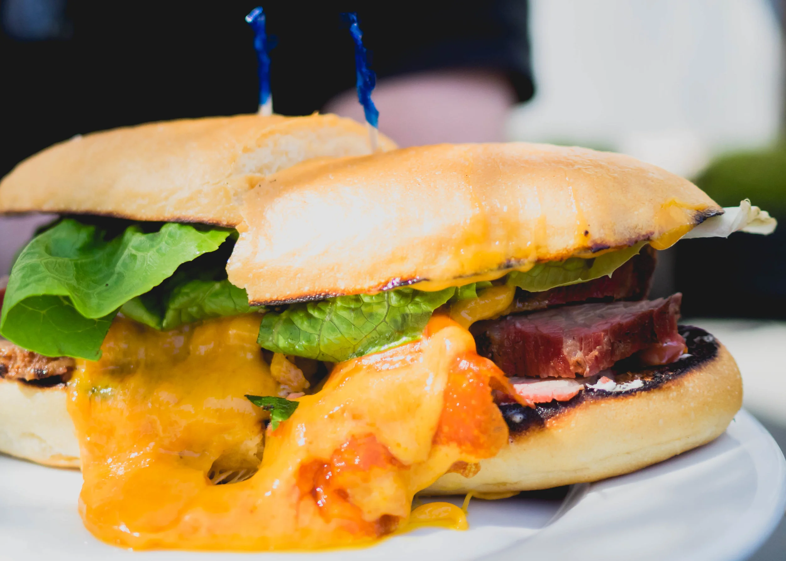 tri tip sandwich with cheddar cheese, pico de gallo, horseradish & lettuce on a hoagie roll.