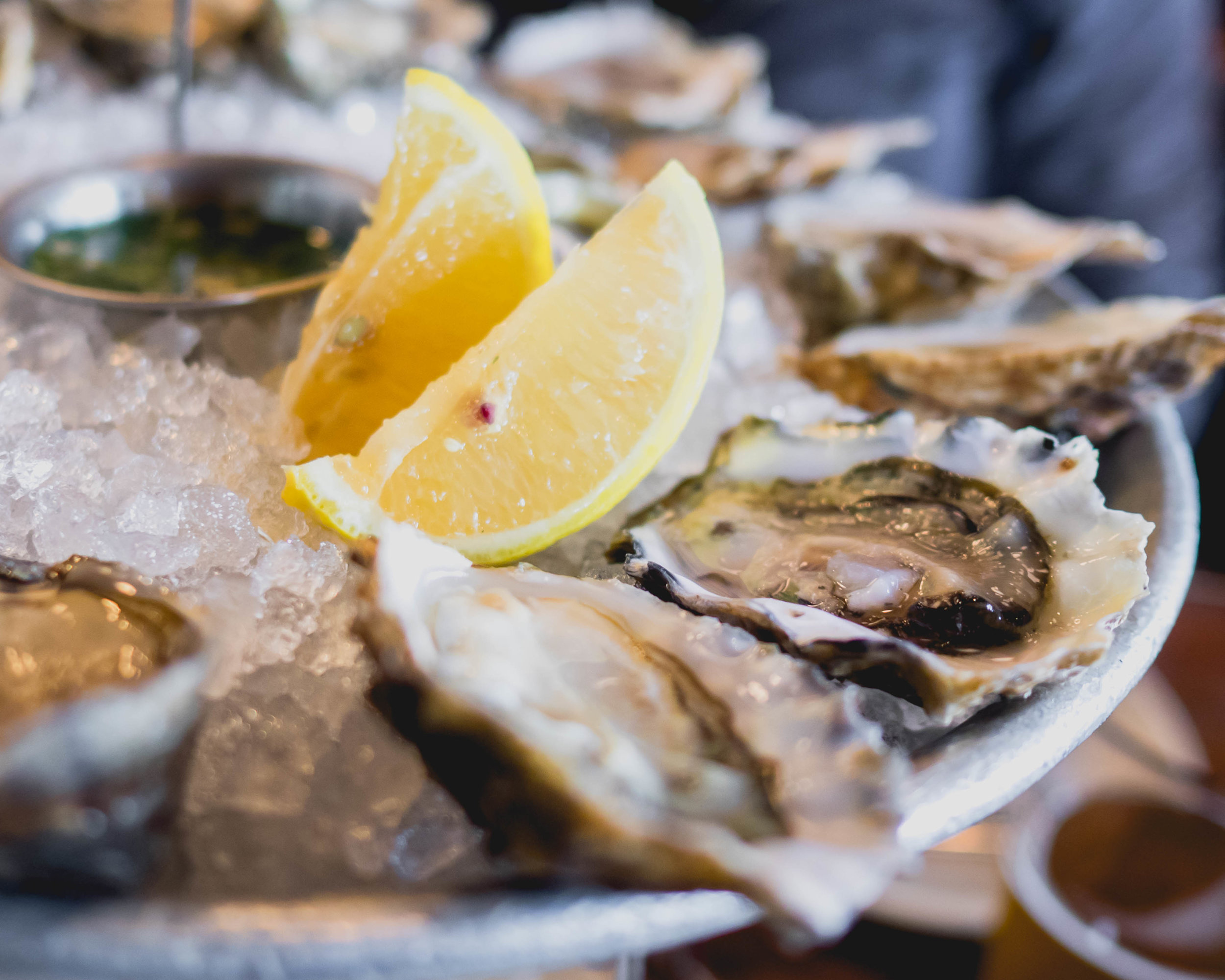 raw oyster closeup.