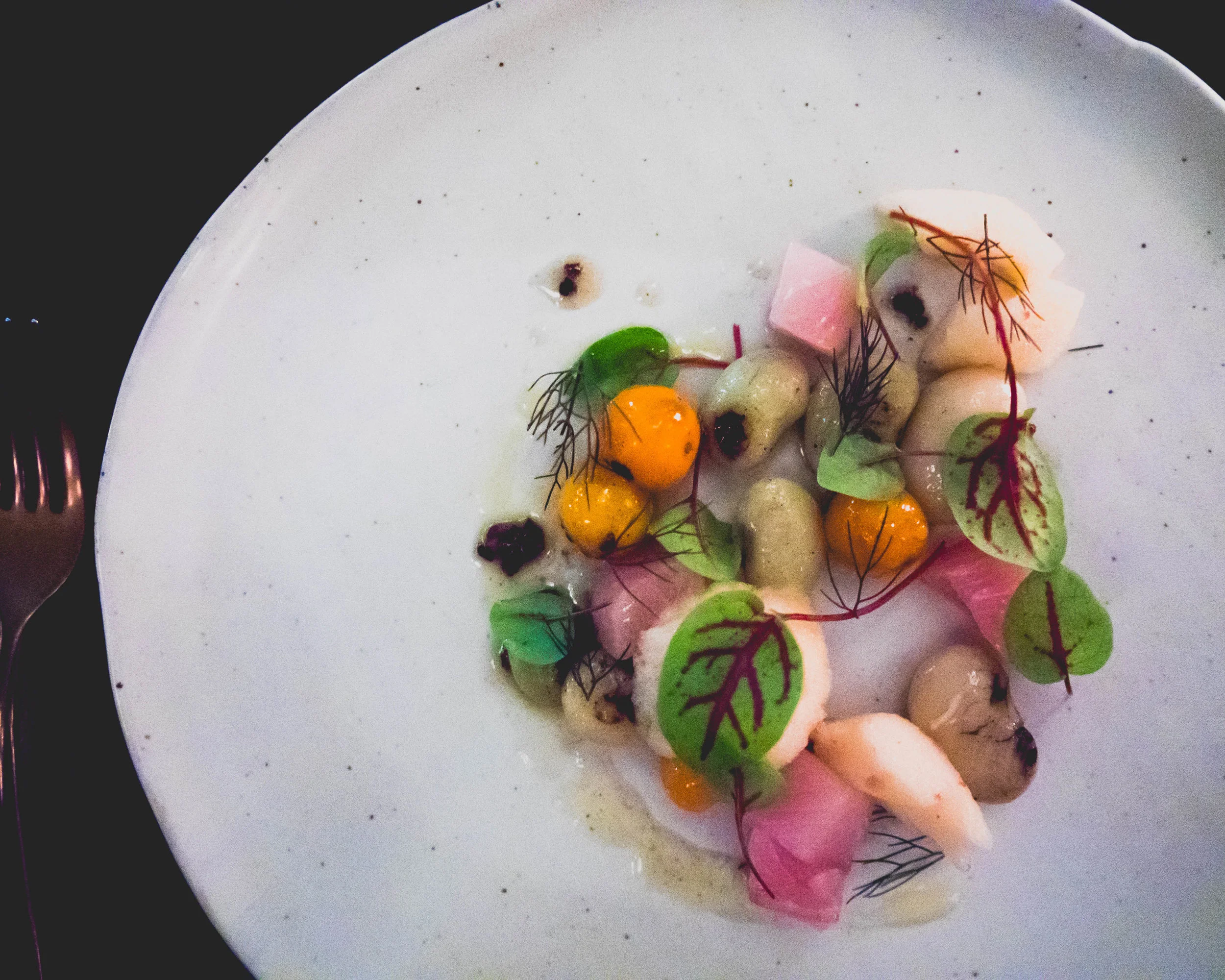 smoked hamachi with butter beans, sungold tomato, basil blossom.