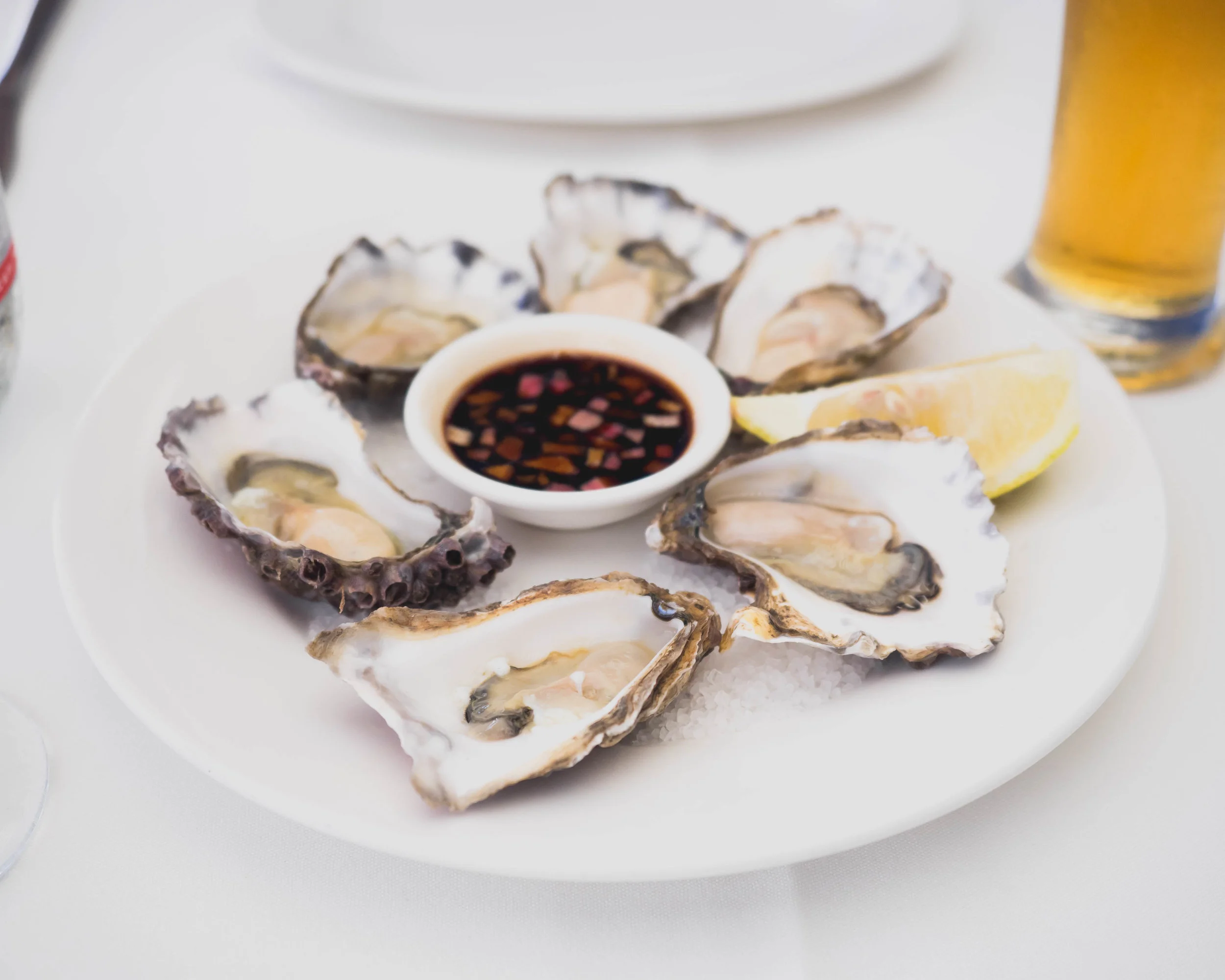 oysters .