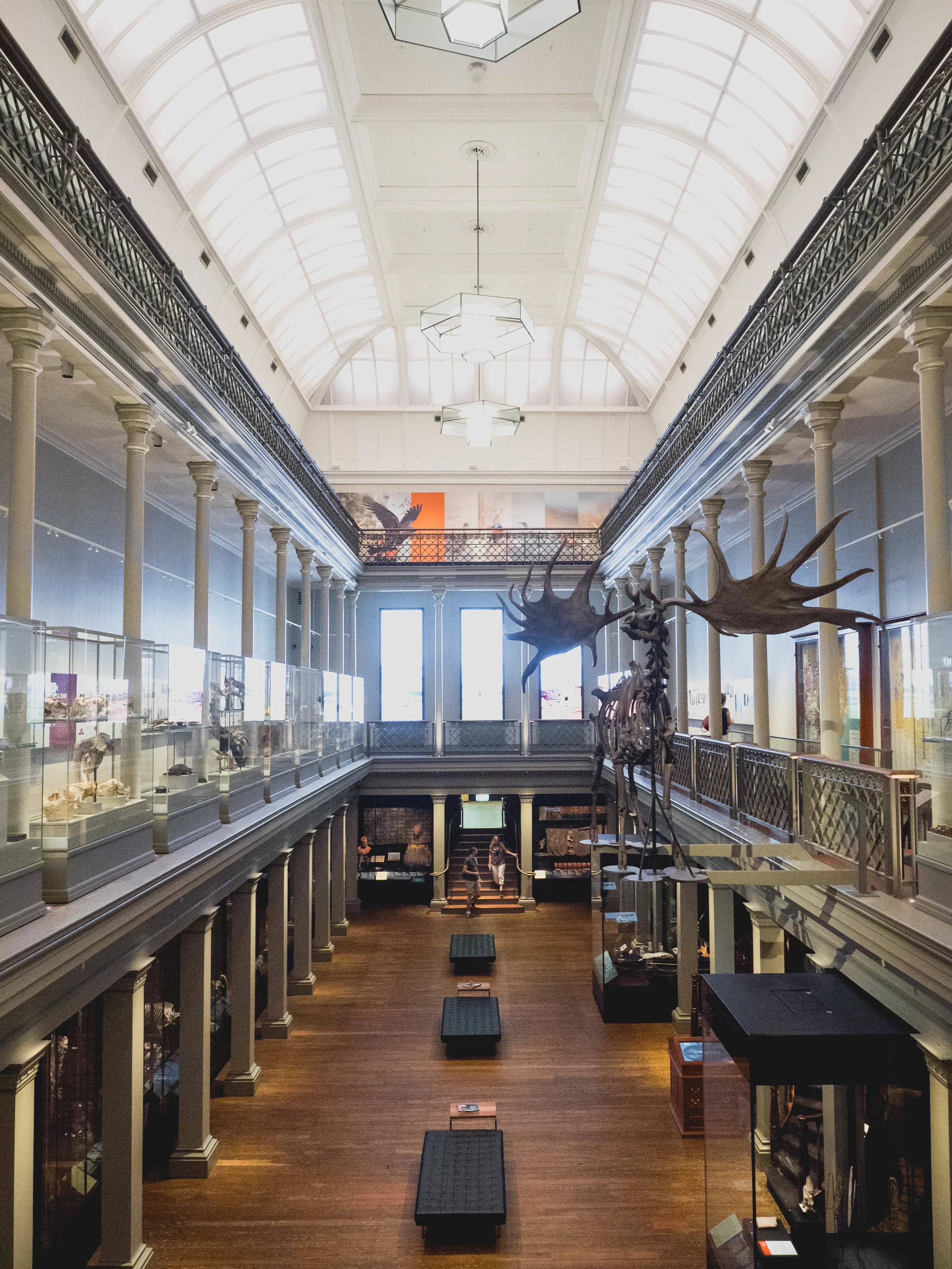 200 treasures of the australian museum.