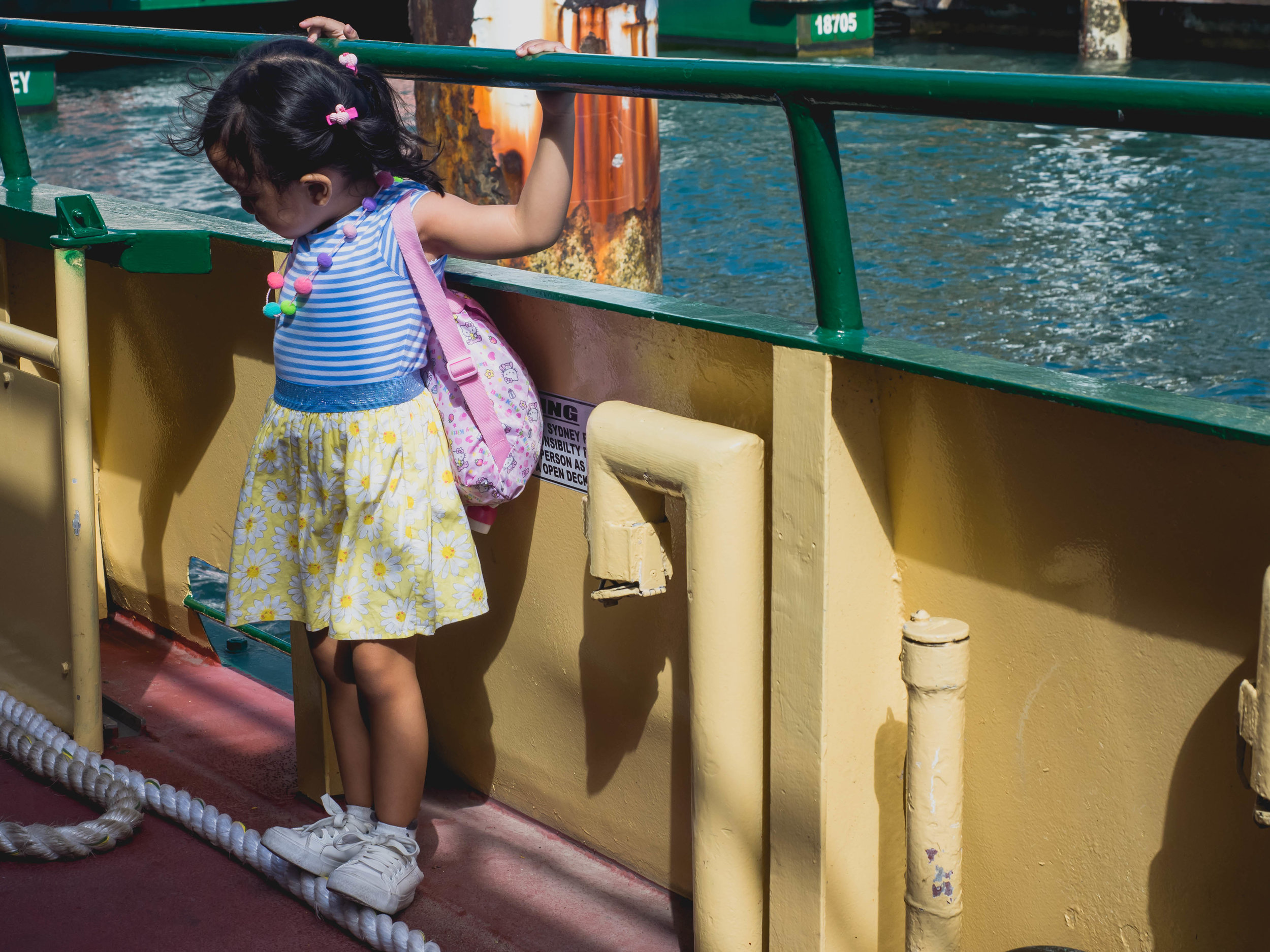tiny ferry passenger.