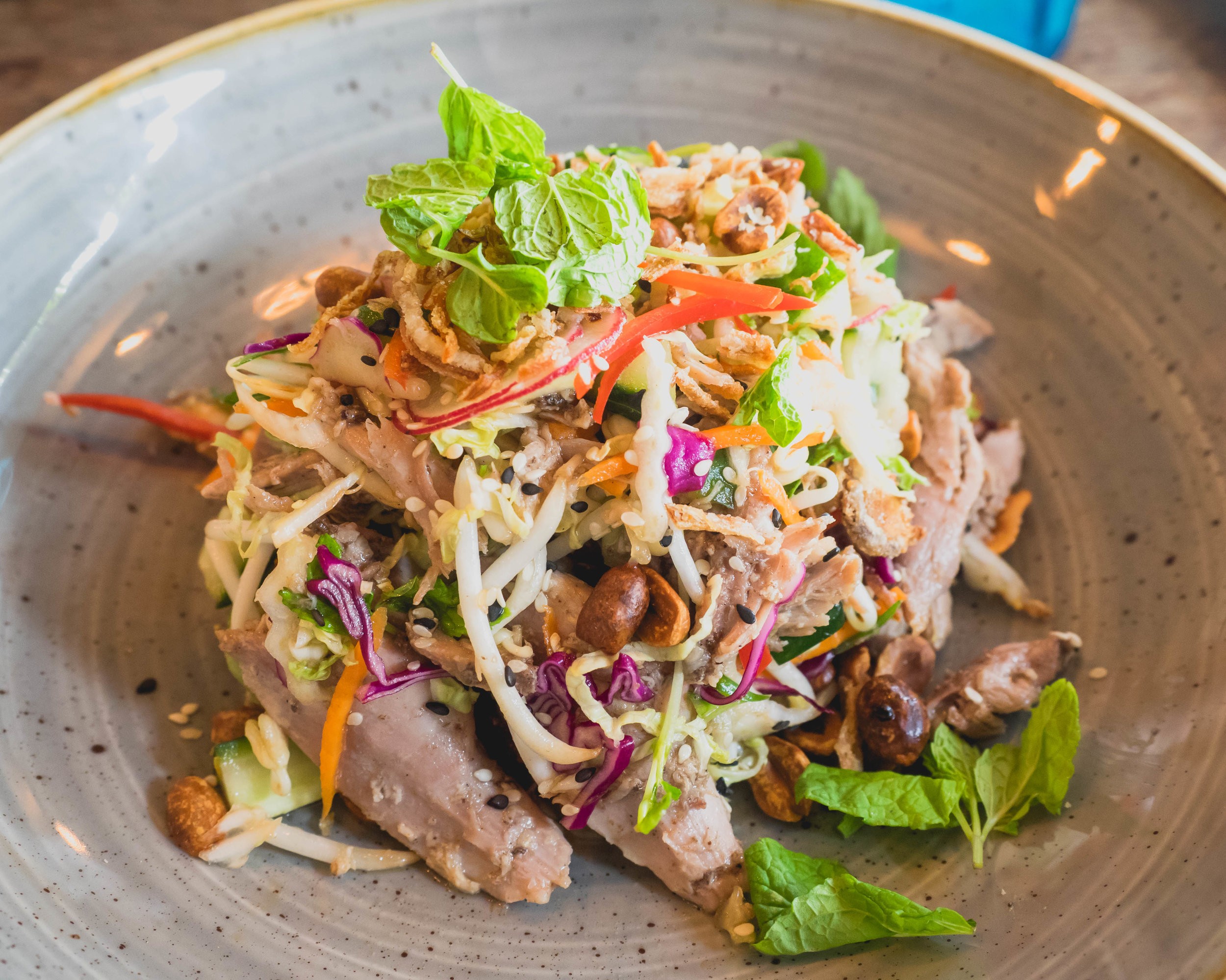 duck salad : roasted szechuan duck, asian rainbow salad, ripped herbs, fried shallots, peanuts, chili lime dressing.