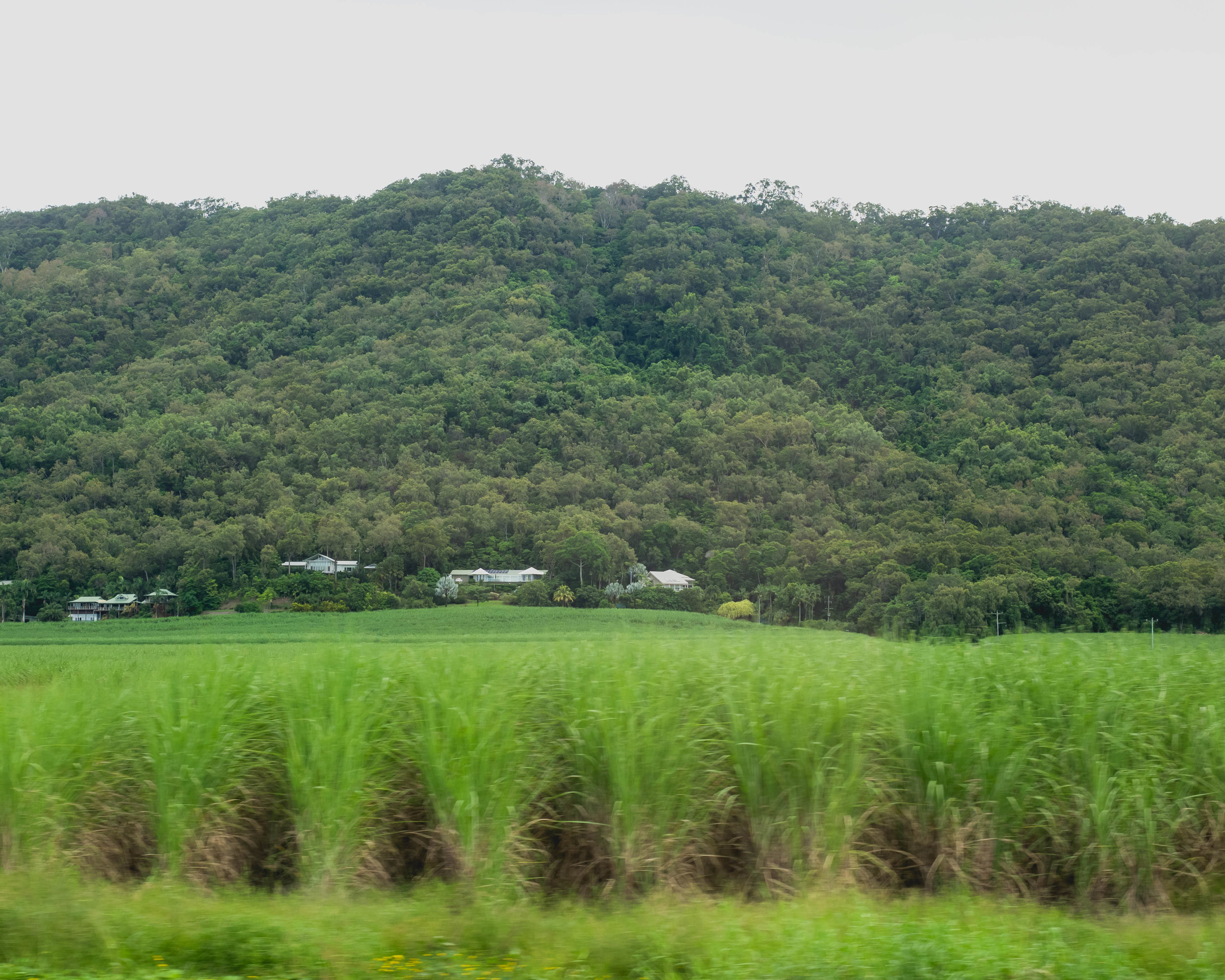 eats and snapshots from port douglas.
