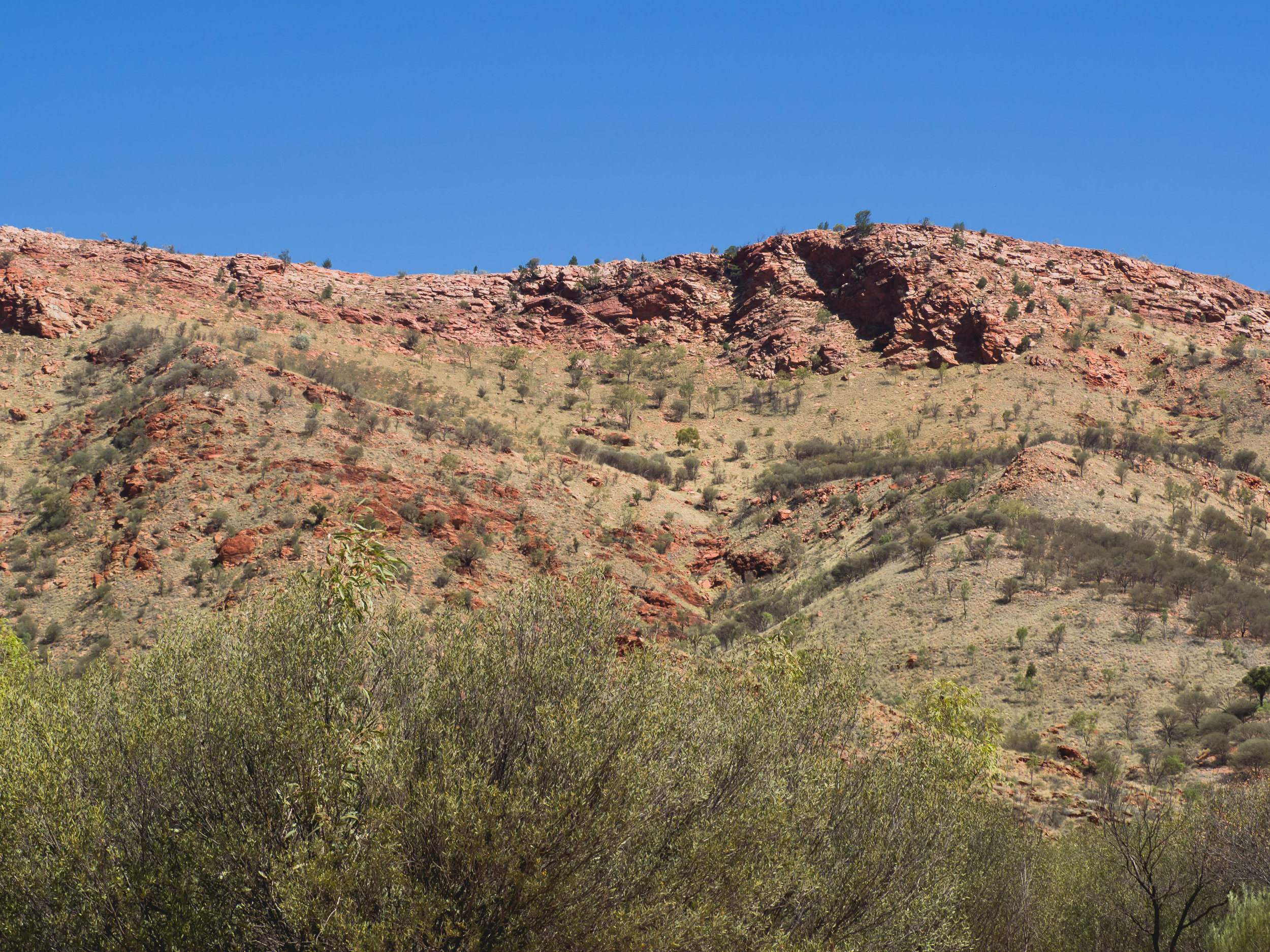macdonnell ranges.