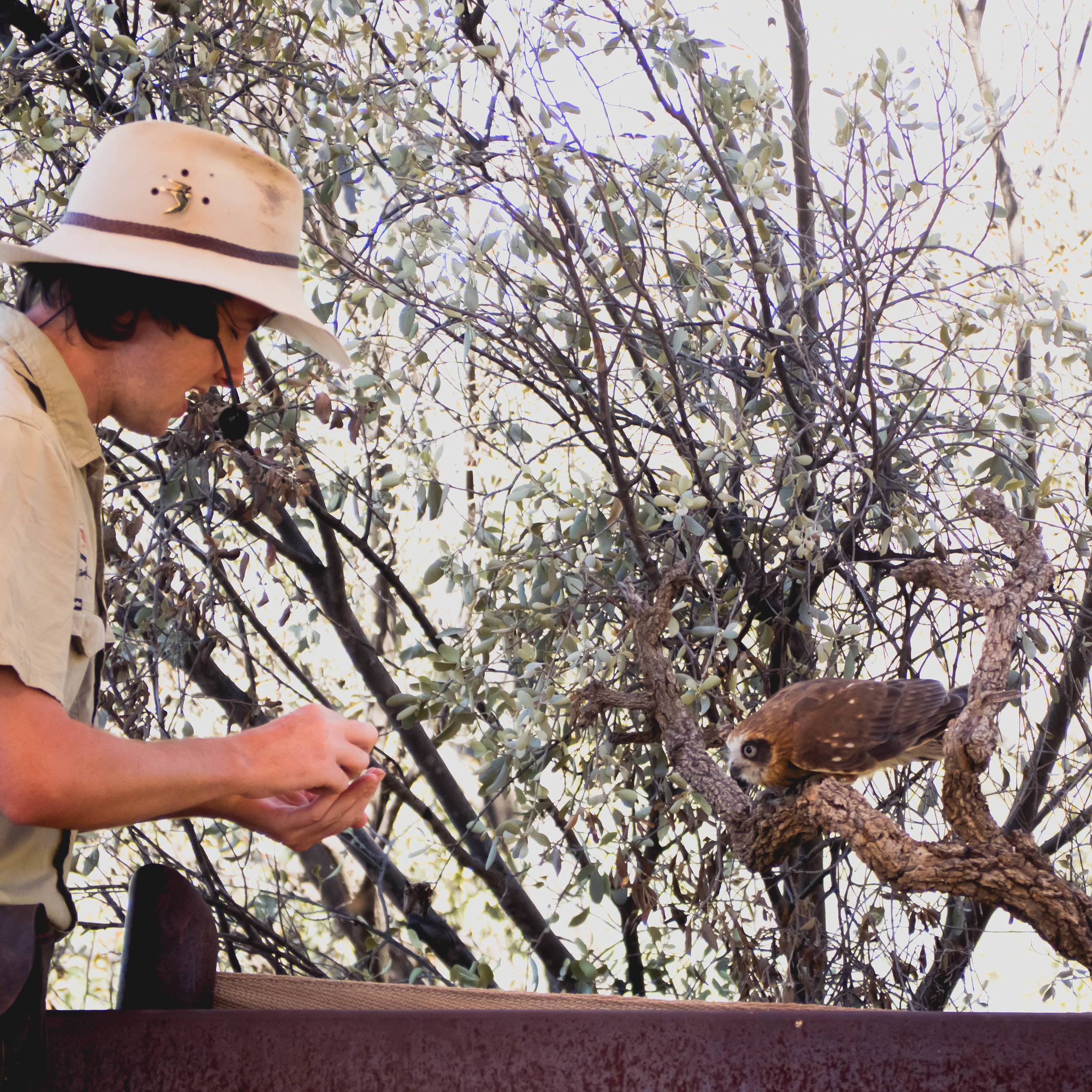 alice-springs-122.jpg