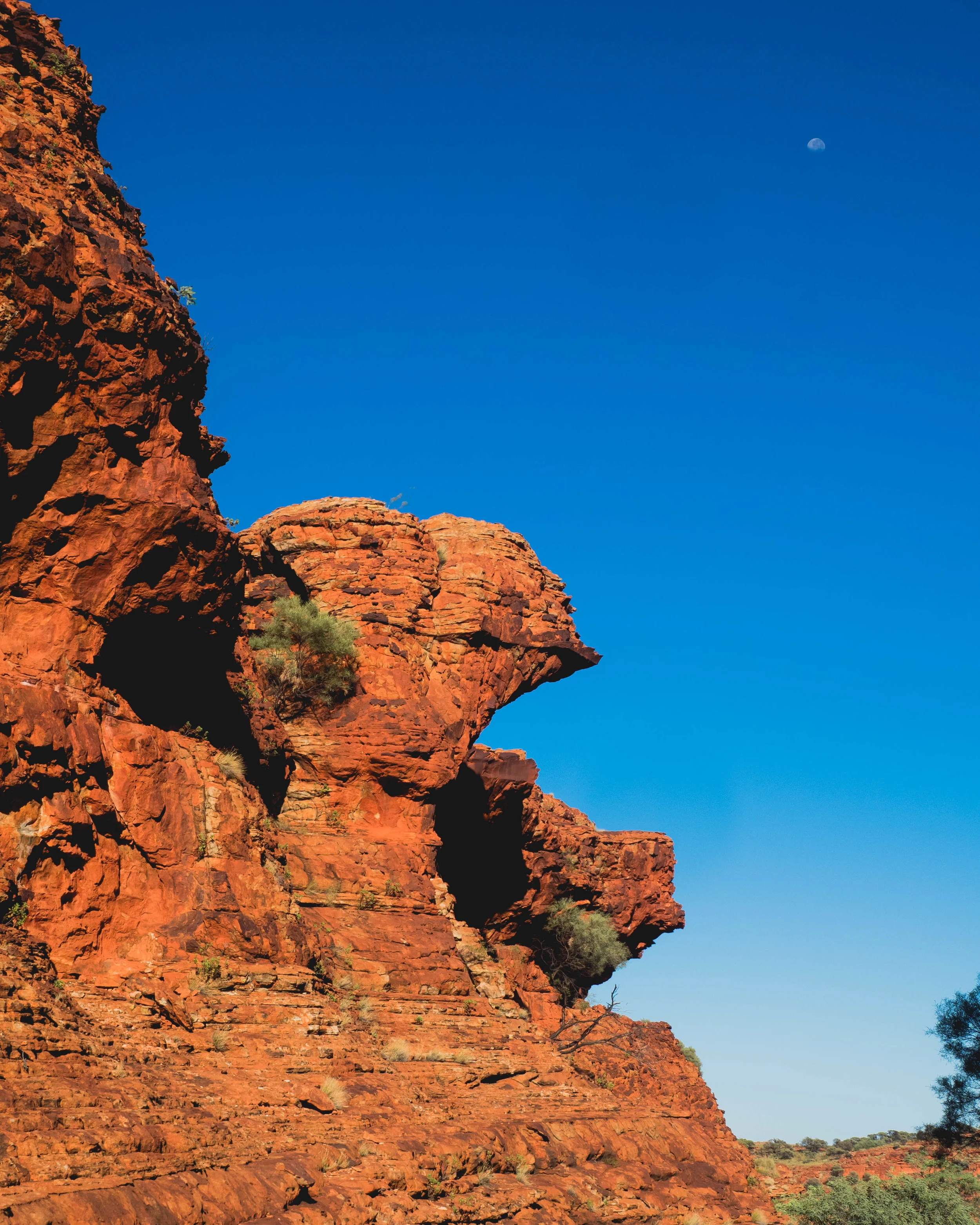 kings-canyon-125.jpg