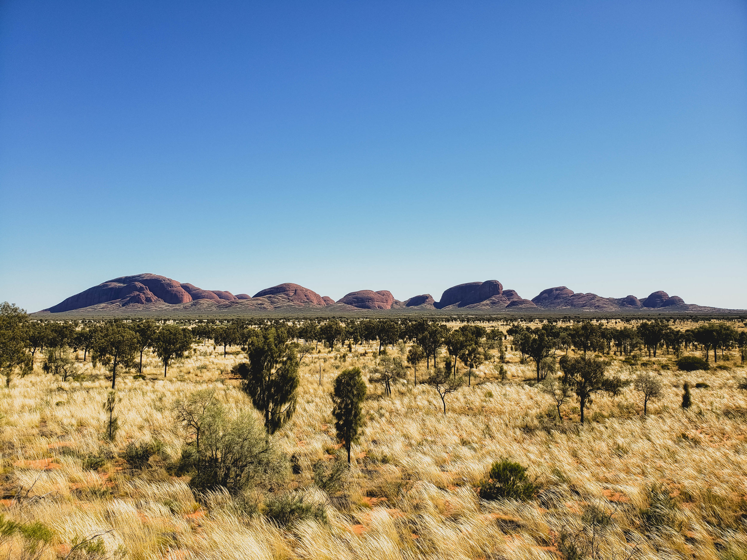 kata tjuta aka the olgas from afar.