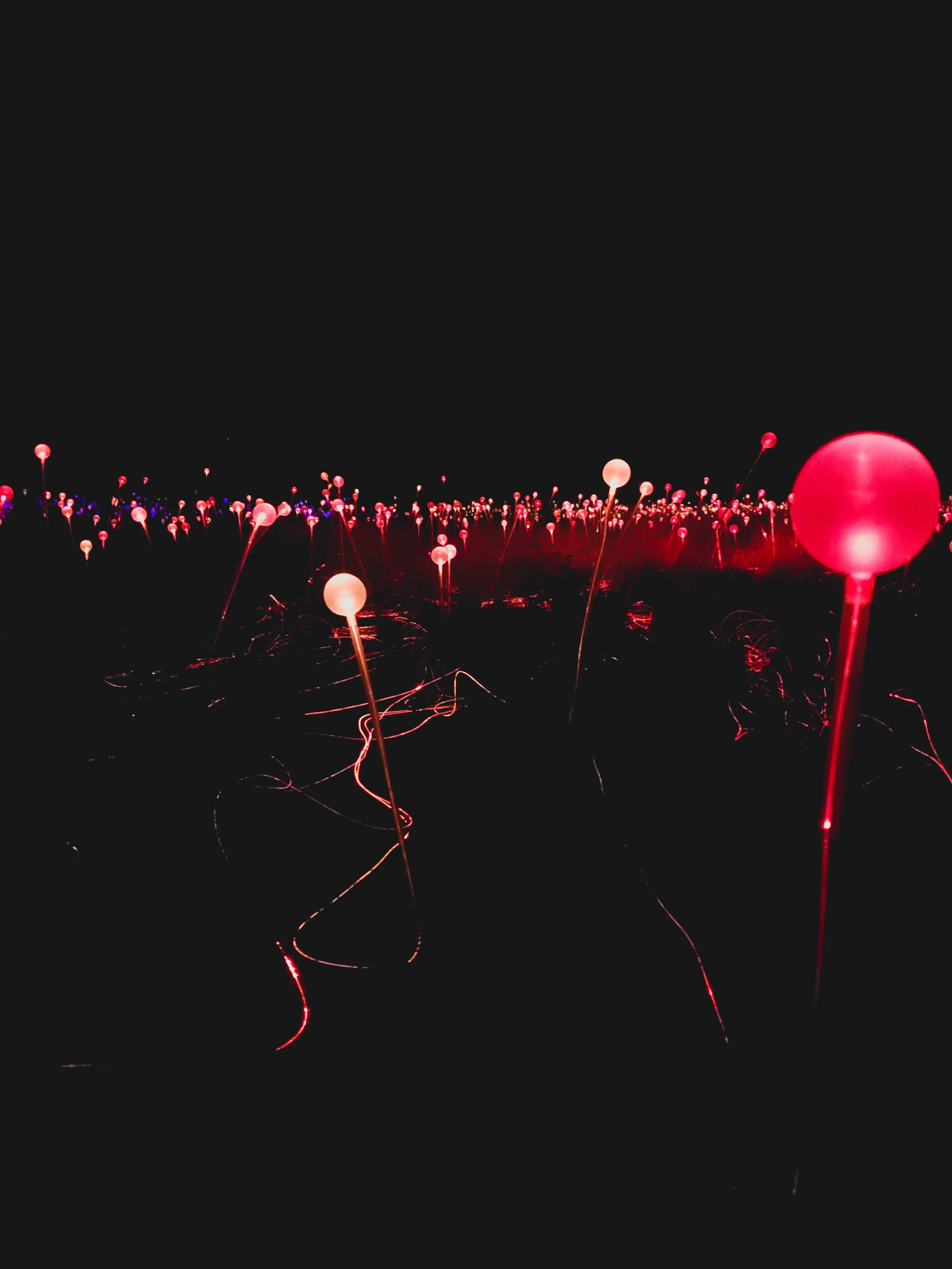 close-up on the lights.