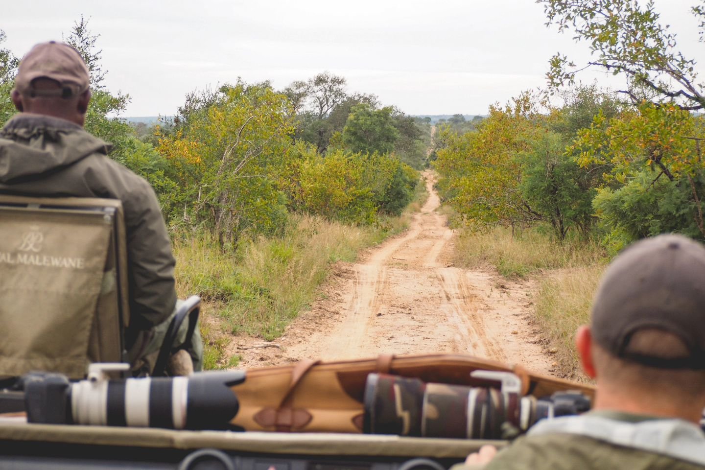 we went on a safari! a plan that hatched with @flying.jon during zoom hangouts of spring 2020 when we couldn't go on our usual trips finally happened four years later and it was so much better than i could have possibly imagined.

before i get to any