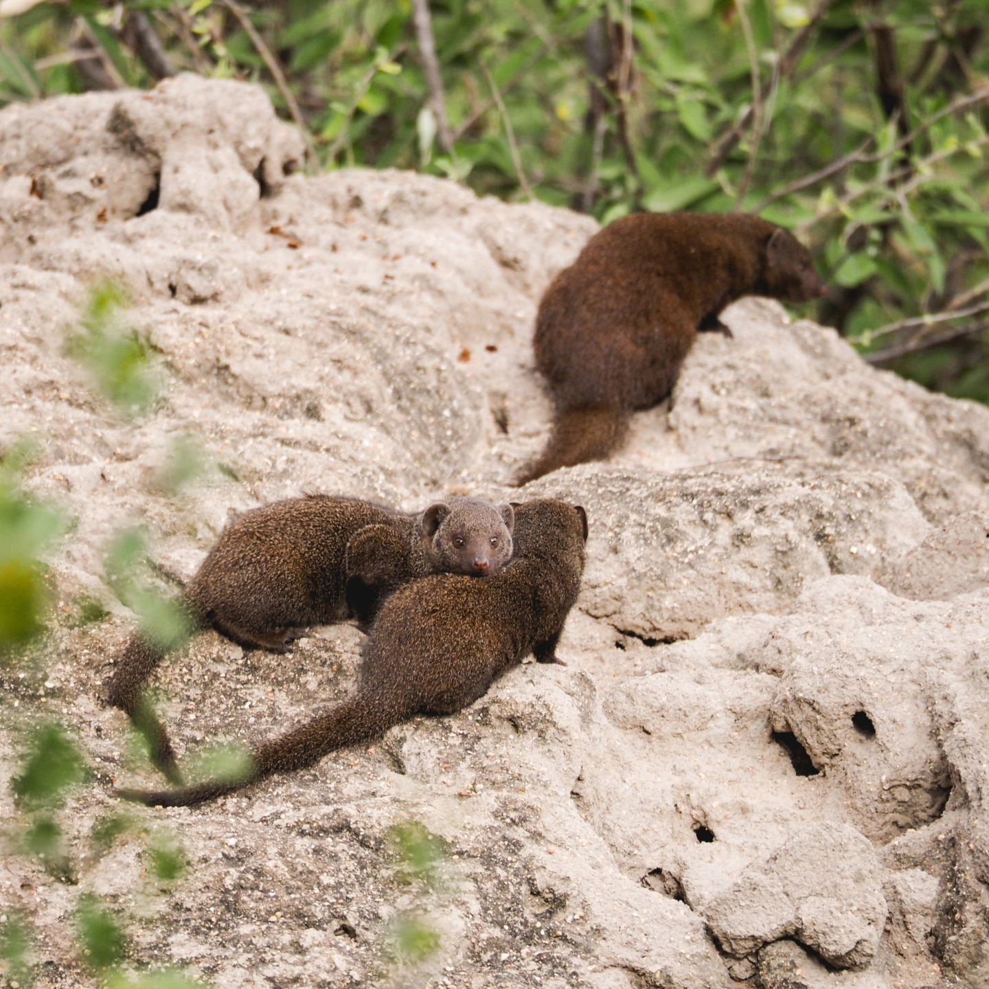 all the smol things. some of the cutest critters we saw (other than babies, but we'll get to those too). #jennLAtravels