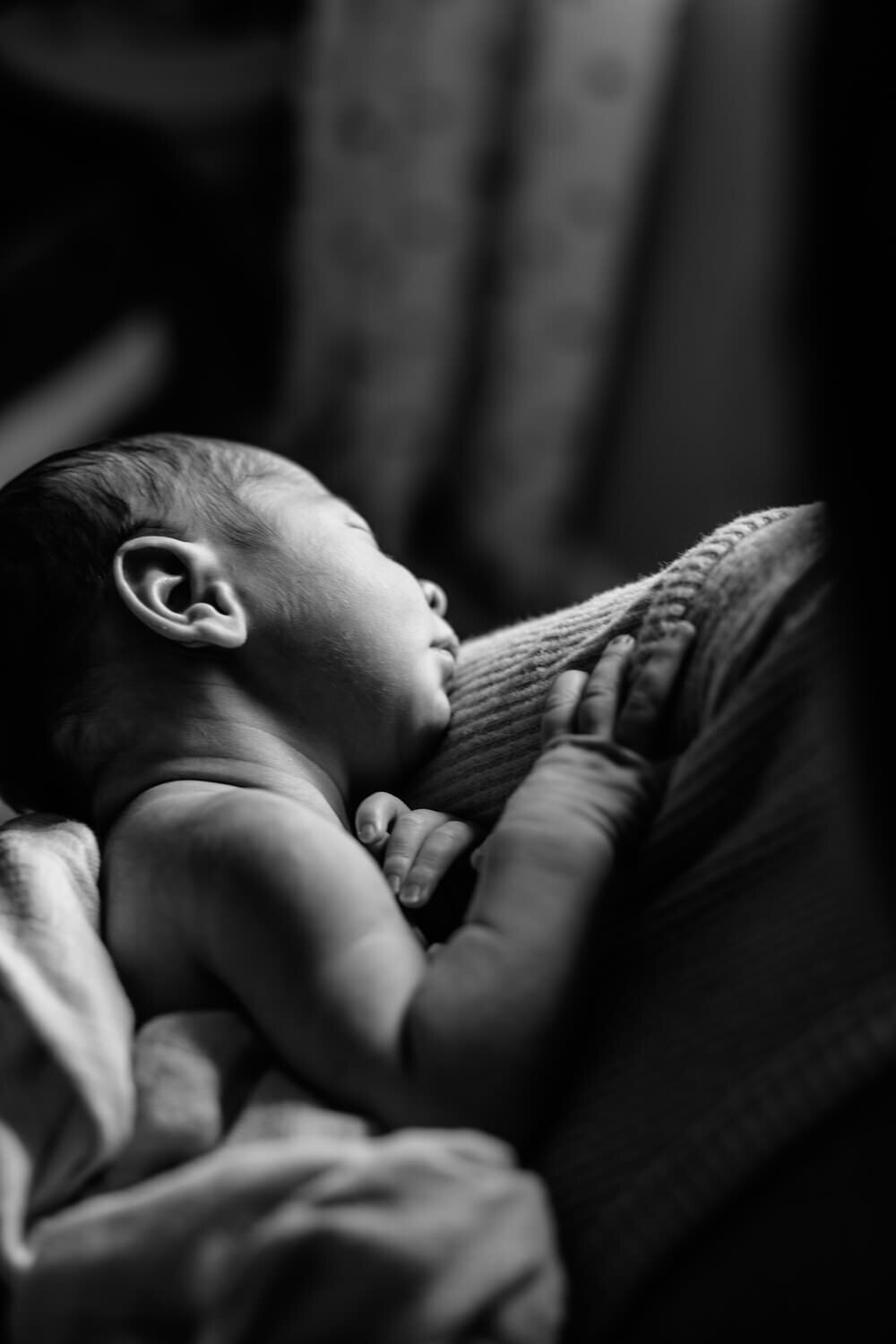 family-newborn-photographers-santa-cruz.jpeg