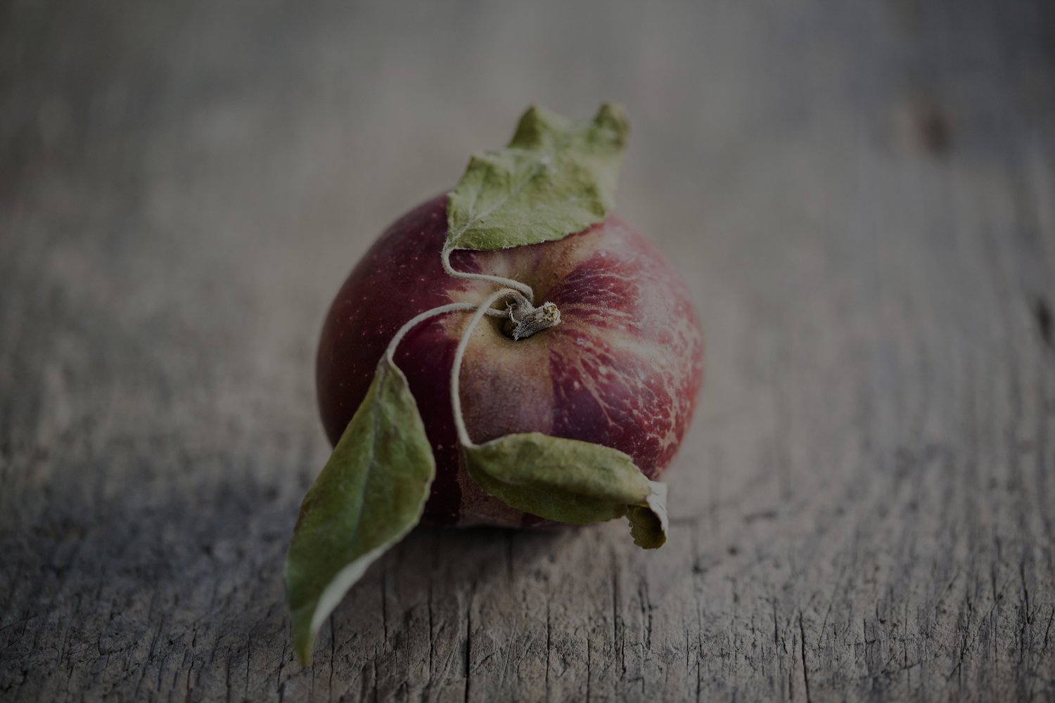 apple_closeup.jpg