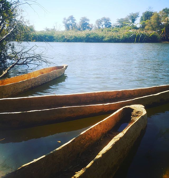 #katimamulilo #grandmascanoes #zambeziriver #musanga #mukulo #vacation #ponderiver #crocodiles #hippos #lozipeople #cousin  #grandmother #roots #namibia