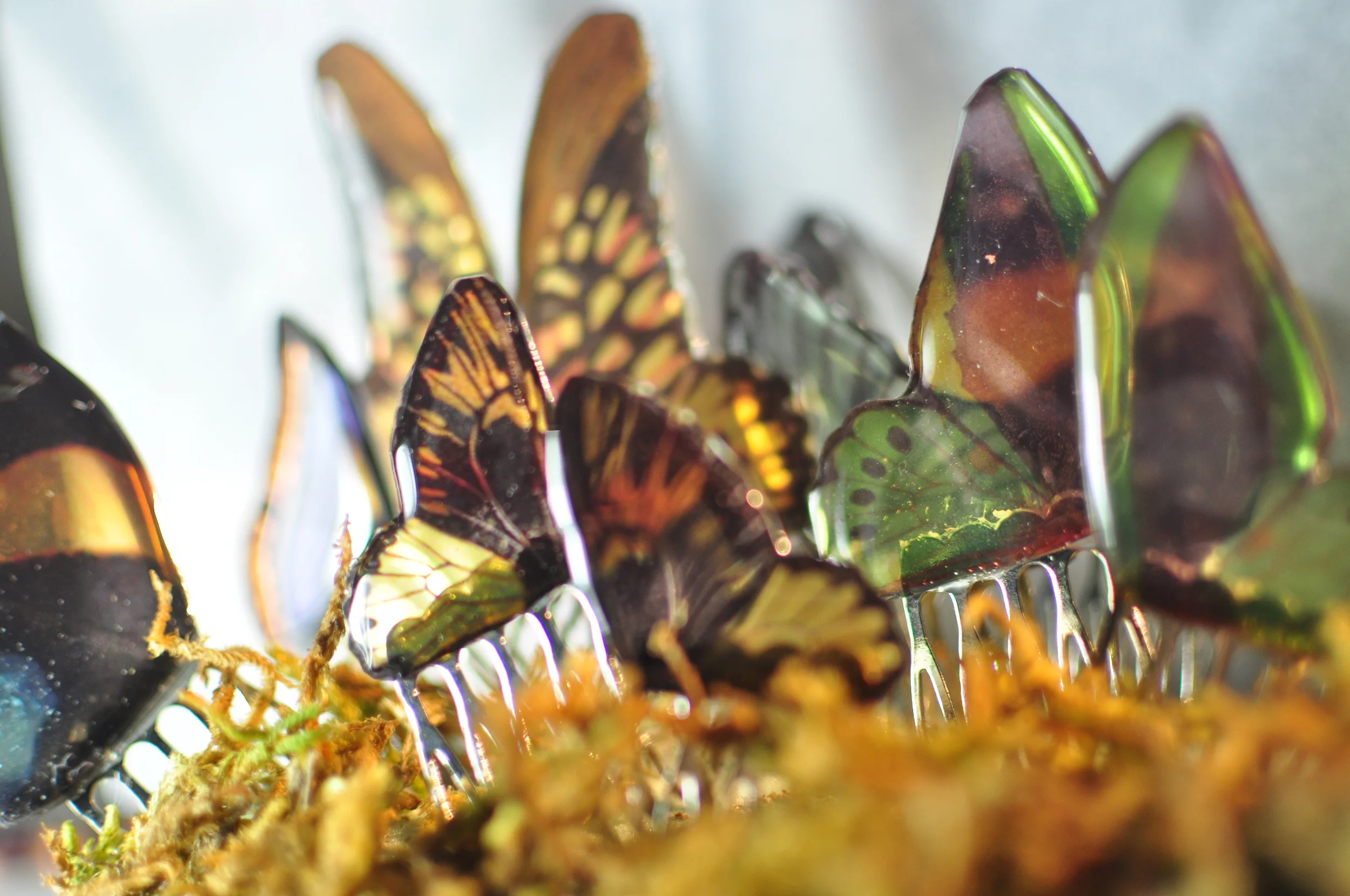 Butterfly Hair Combs