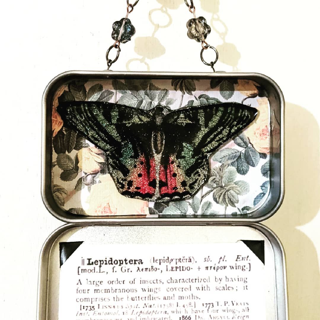 Experimenting after a long hiatus.
#butterfly #tinbox #greengrackle