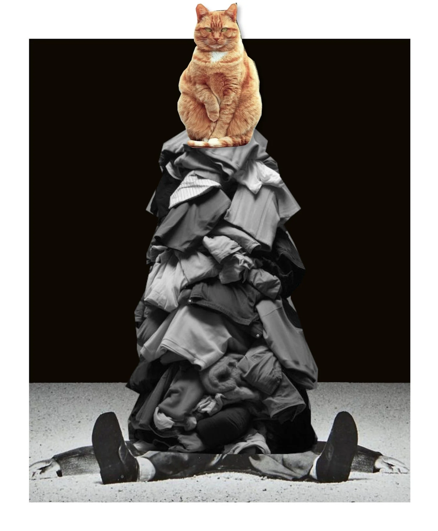 Februllage Day 13 prompt Heavy
Also known as "The helper"
#februllage #februllage2025 #collage #digitalcollage #cat #art