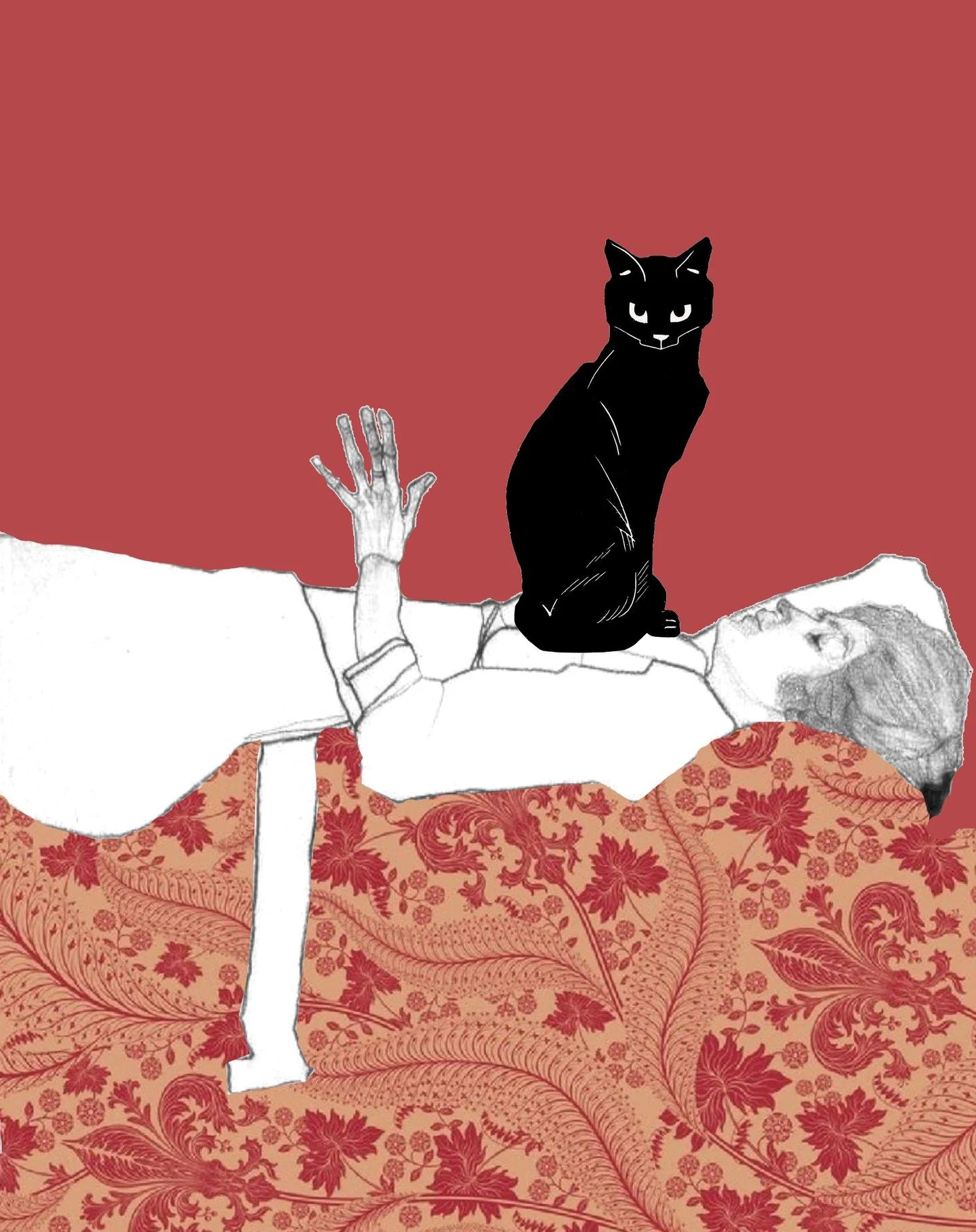Februllage Day 11 - Stuck
#februllage #februllage2025 #digitalcollage #collage #cat #art