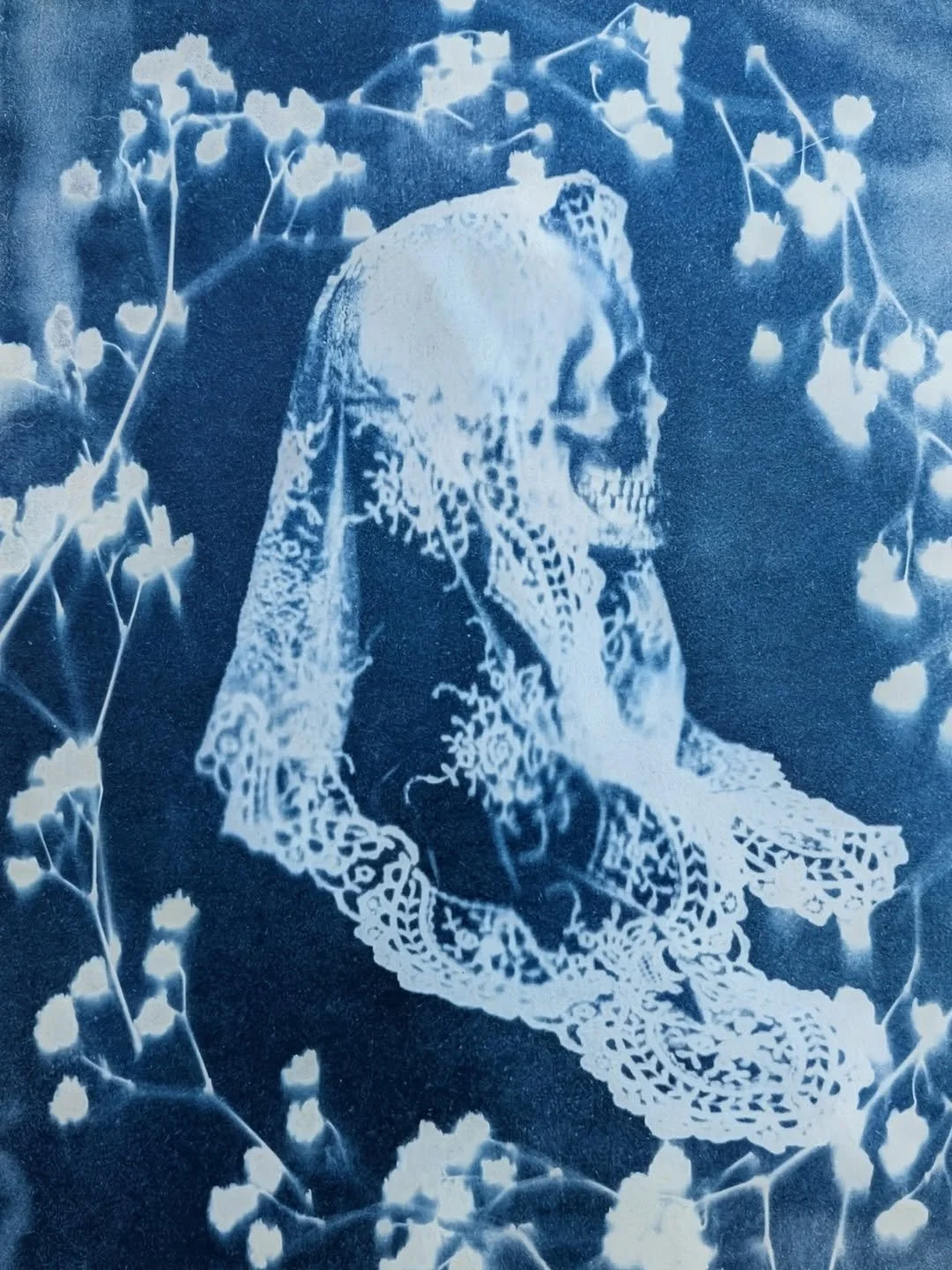 Started a new hobby, Cyanotypes! All the gear and no idear.#cyanotype #d&iacute;adelosmuertos #dayofthedead