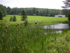 As with most conservation agreemenets, the house itself is excluded from the conservation easement area. The conserved area includes a pond and stream.