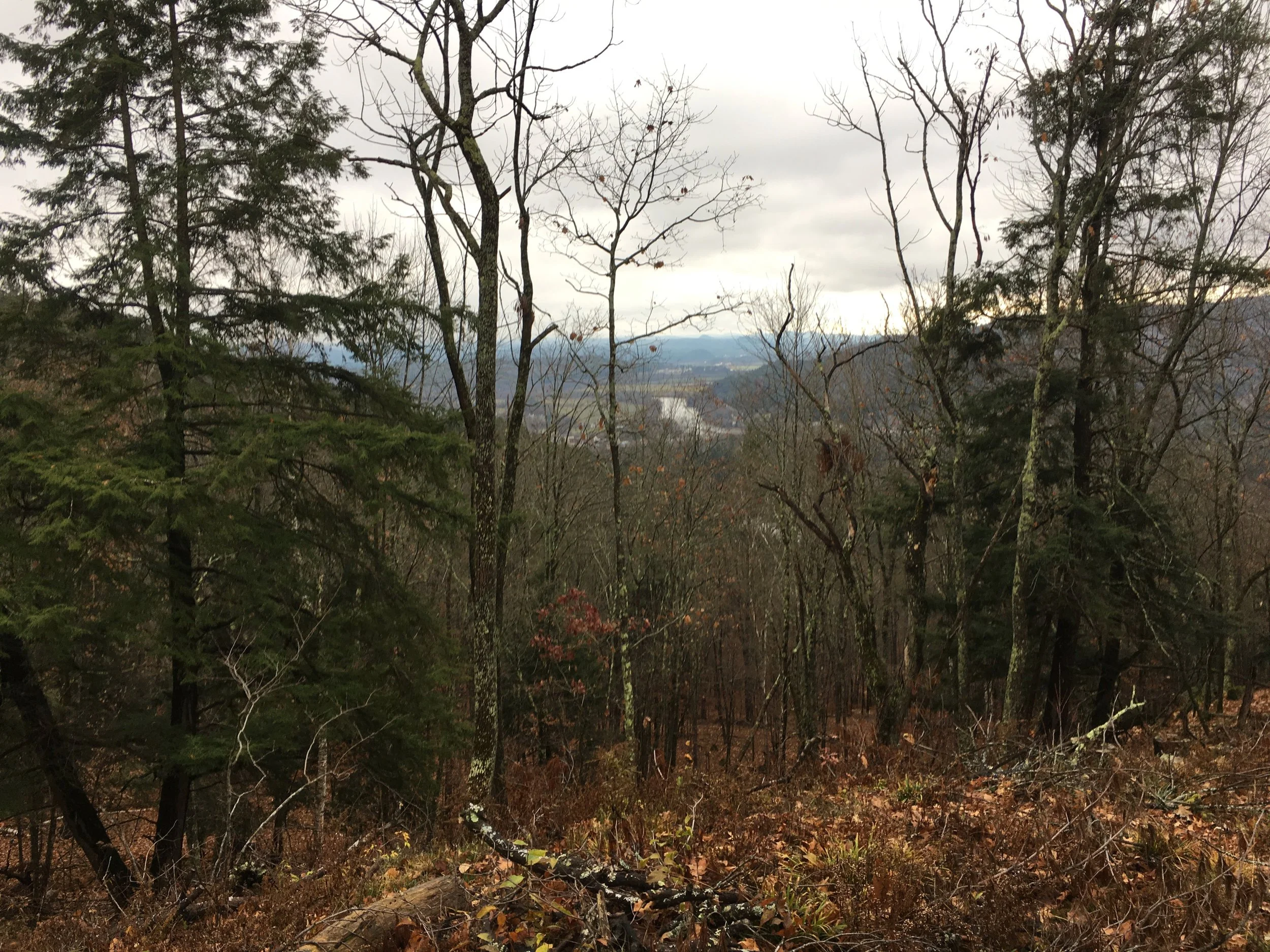 The Connecticut River from the top of the conservation area.