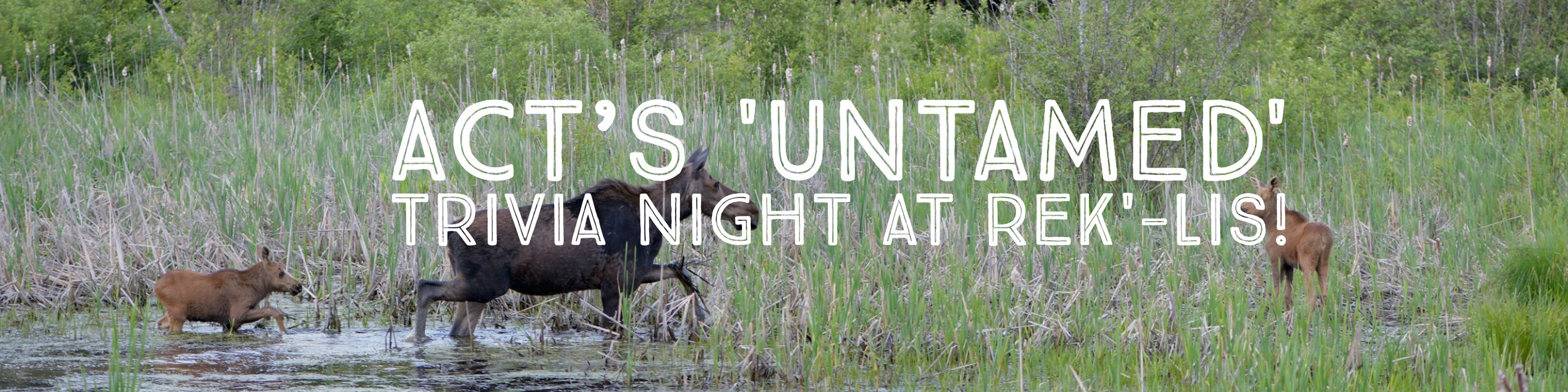 'Untamed' Nature Trivia at Rek'lis