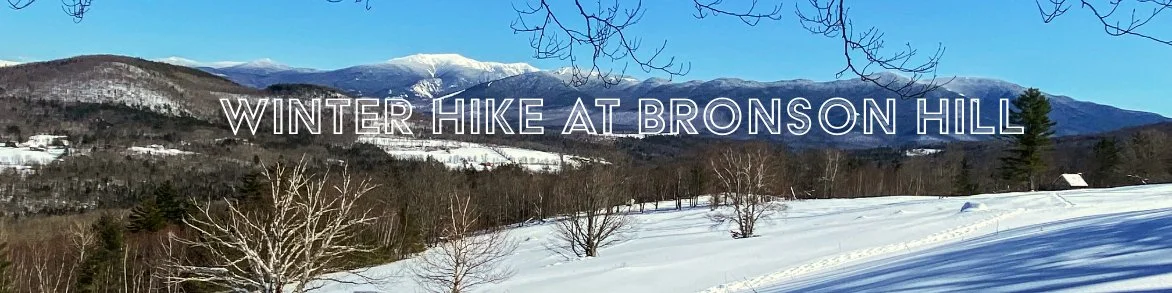 Winter Hike at Bronson Hill