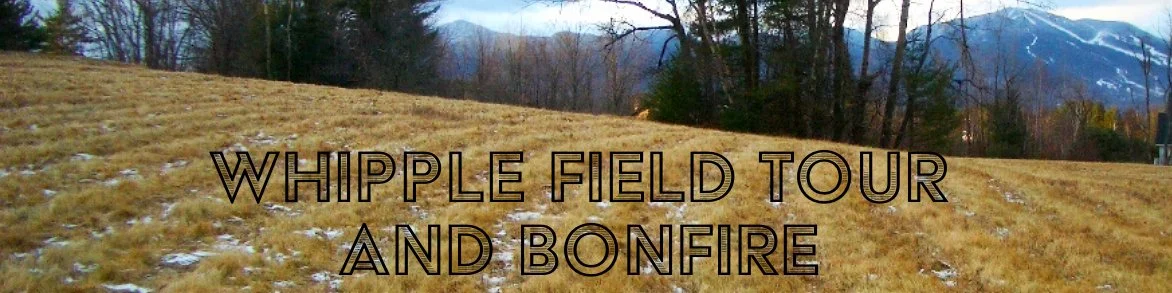 Whipple Field Tour and Bonfire