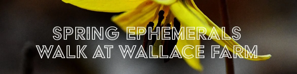 Spring Ephemerals Walk at Wallace Farm