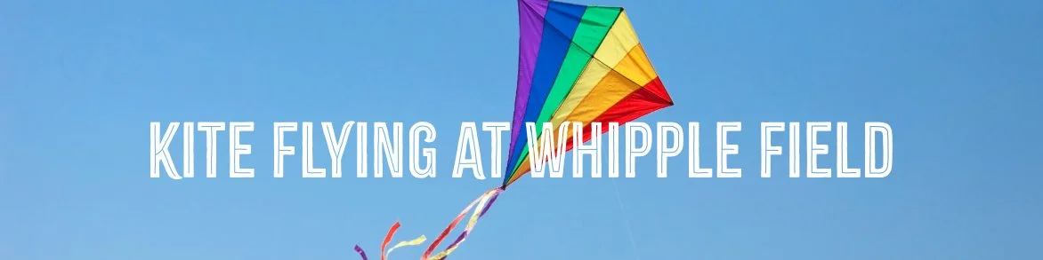 Kite Flying at Whipple Field - Rescheduled for June 29th!